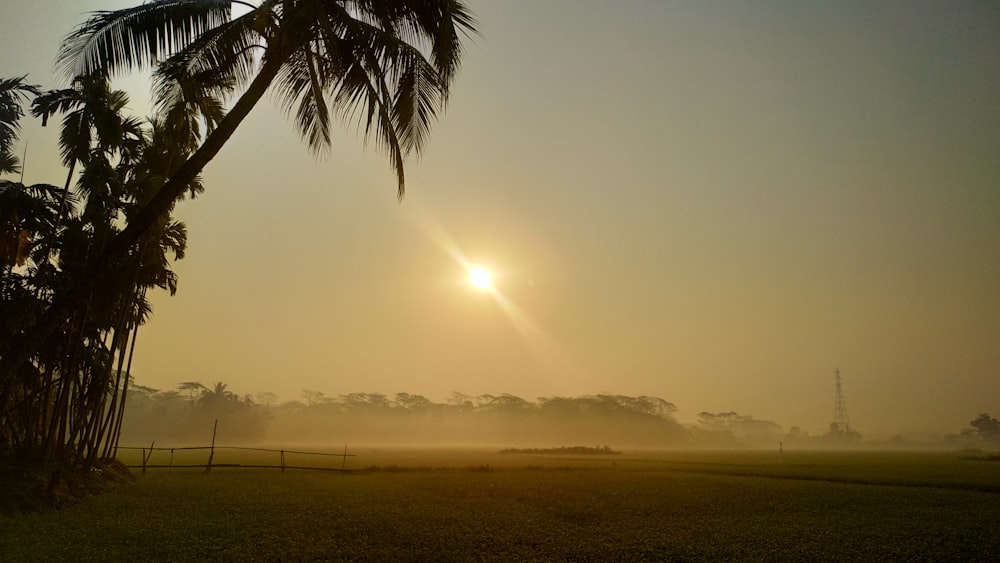 the sun is setting behind a palm tree