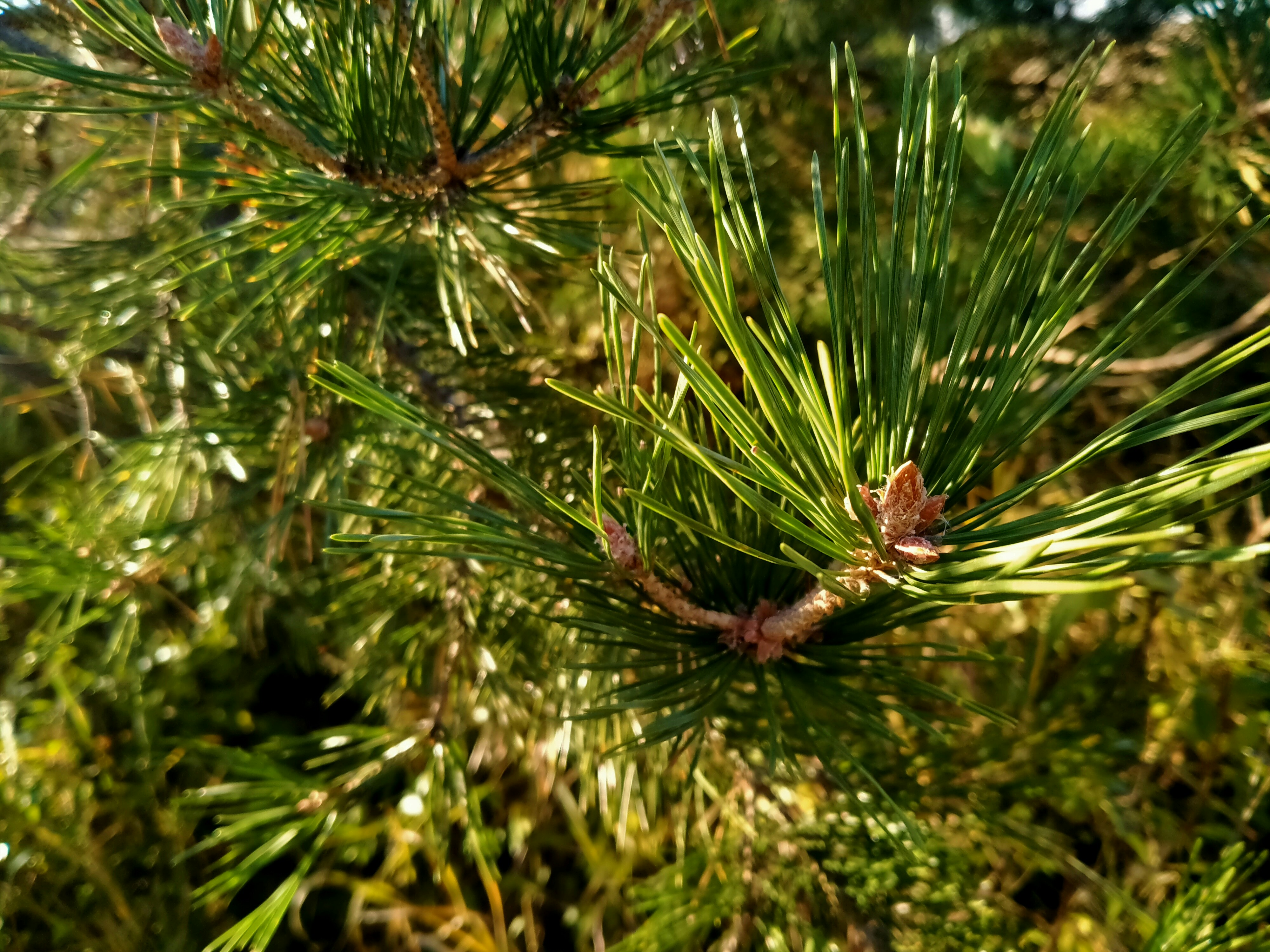 Photo by yuliakachko