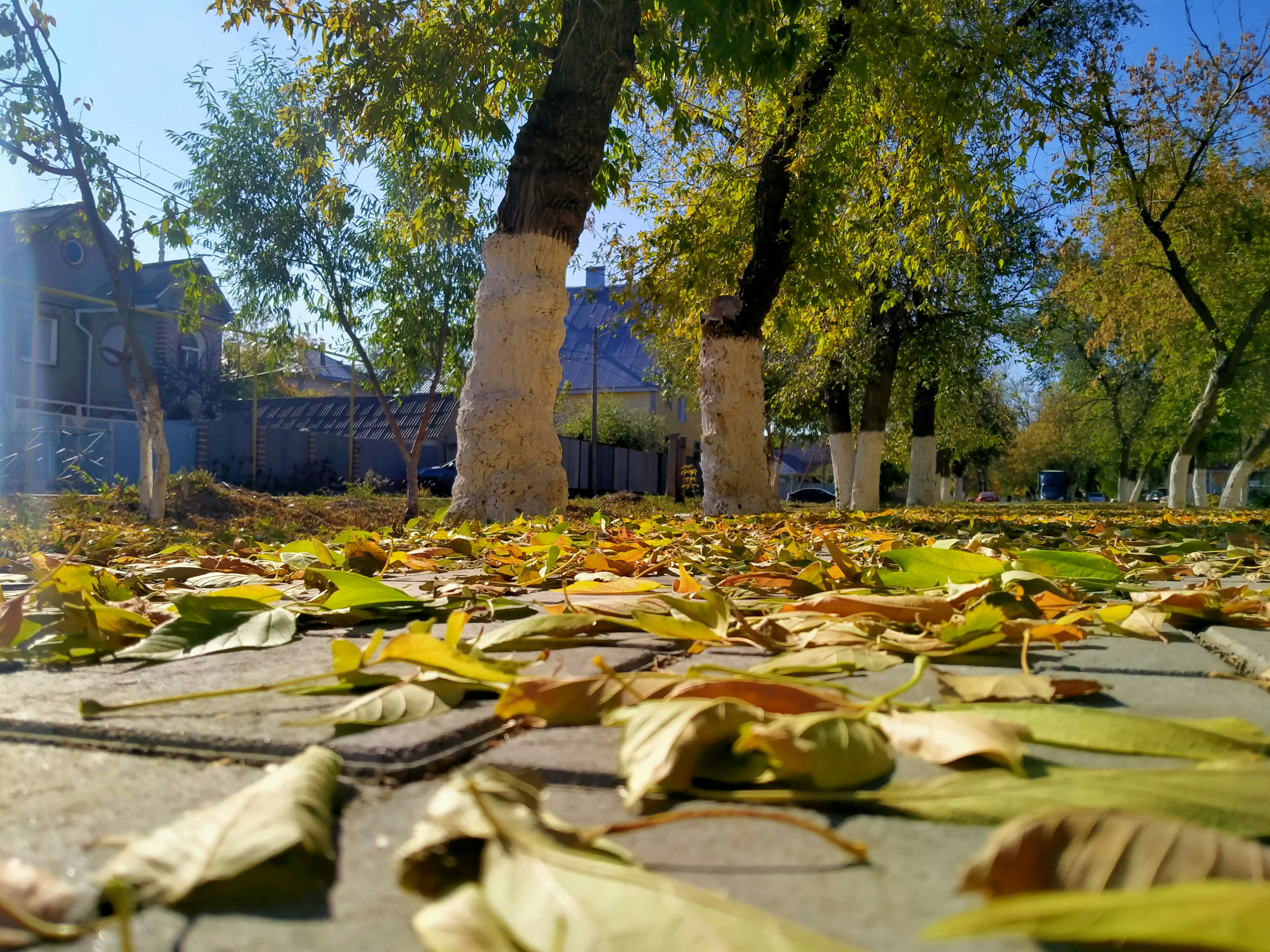 KSN destination photo