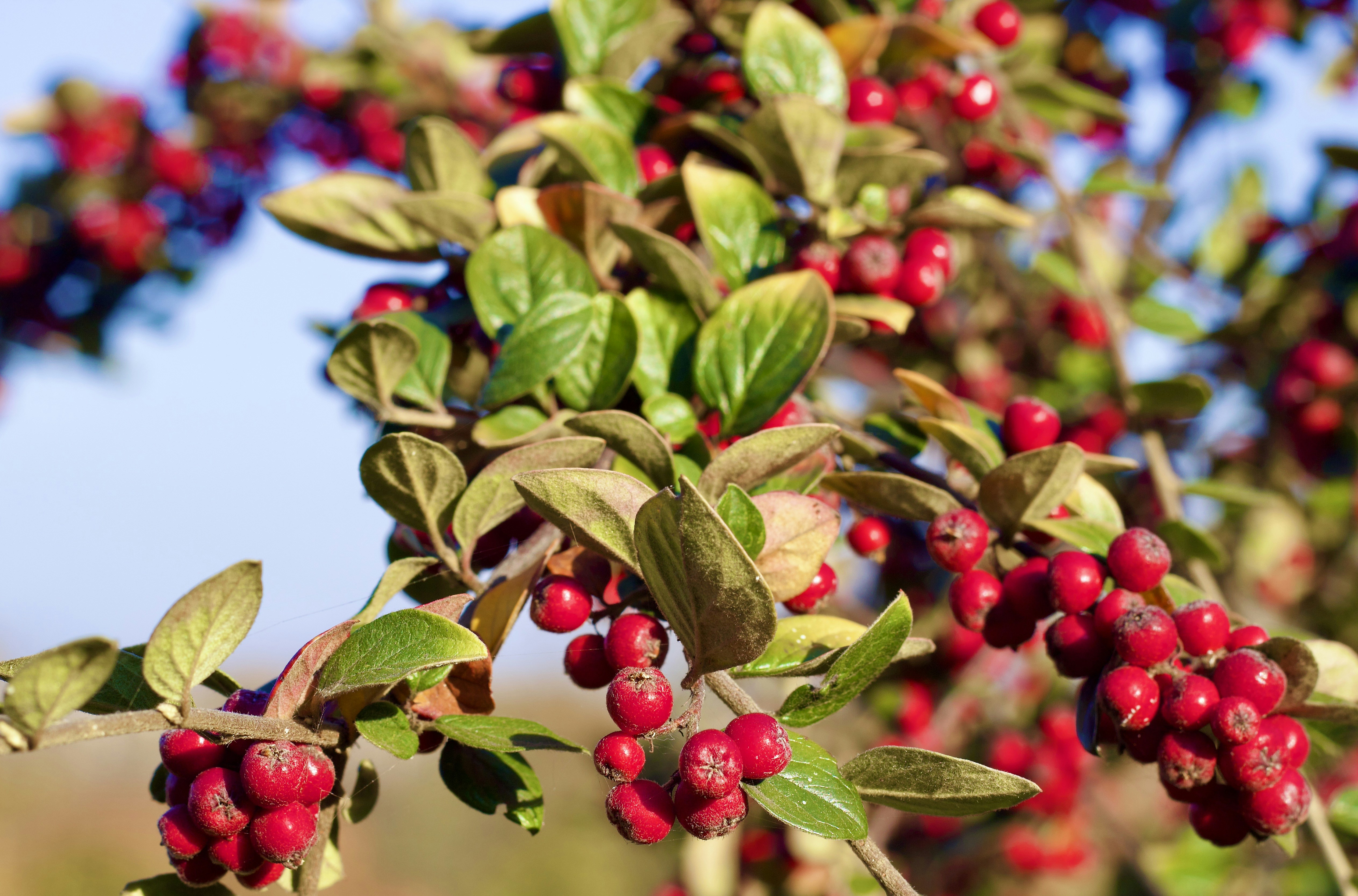 Photo by eleonoramir