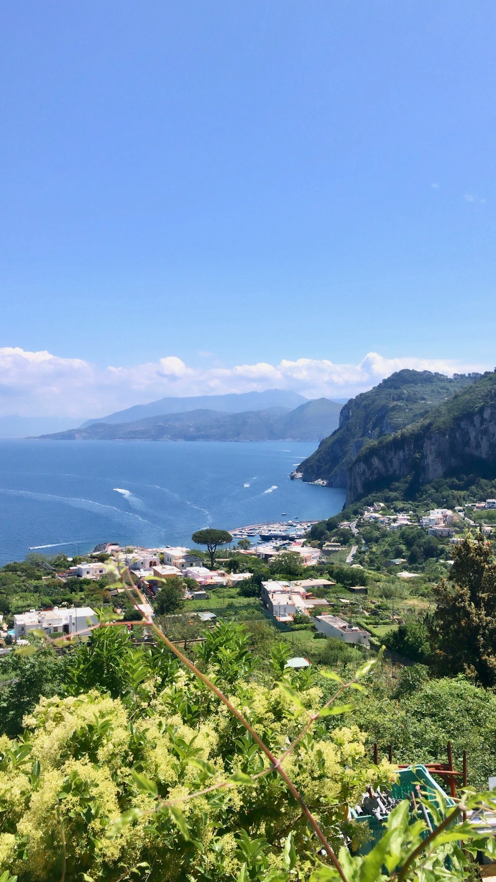 a scenic view of the ocean from a hill