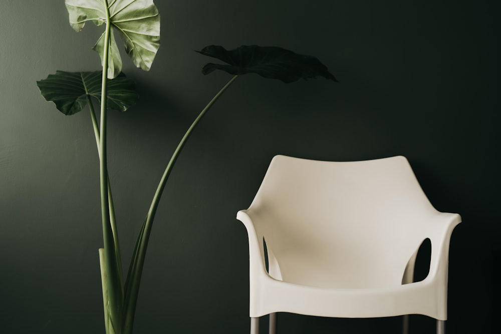 a white chair next to a large green plant