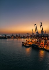 a harbor filled with lots of large cranes