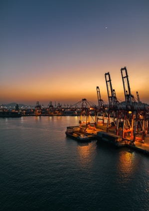 a harbor filled with lots of large cranes