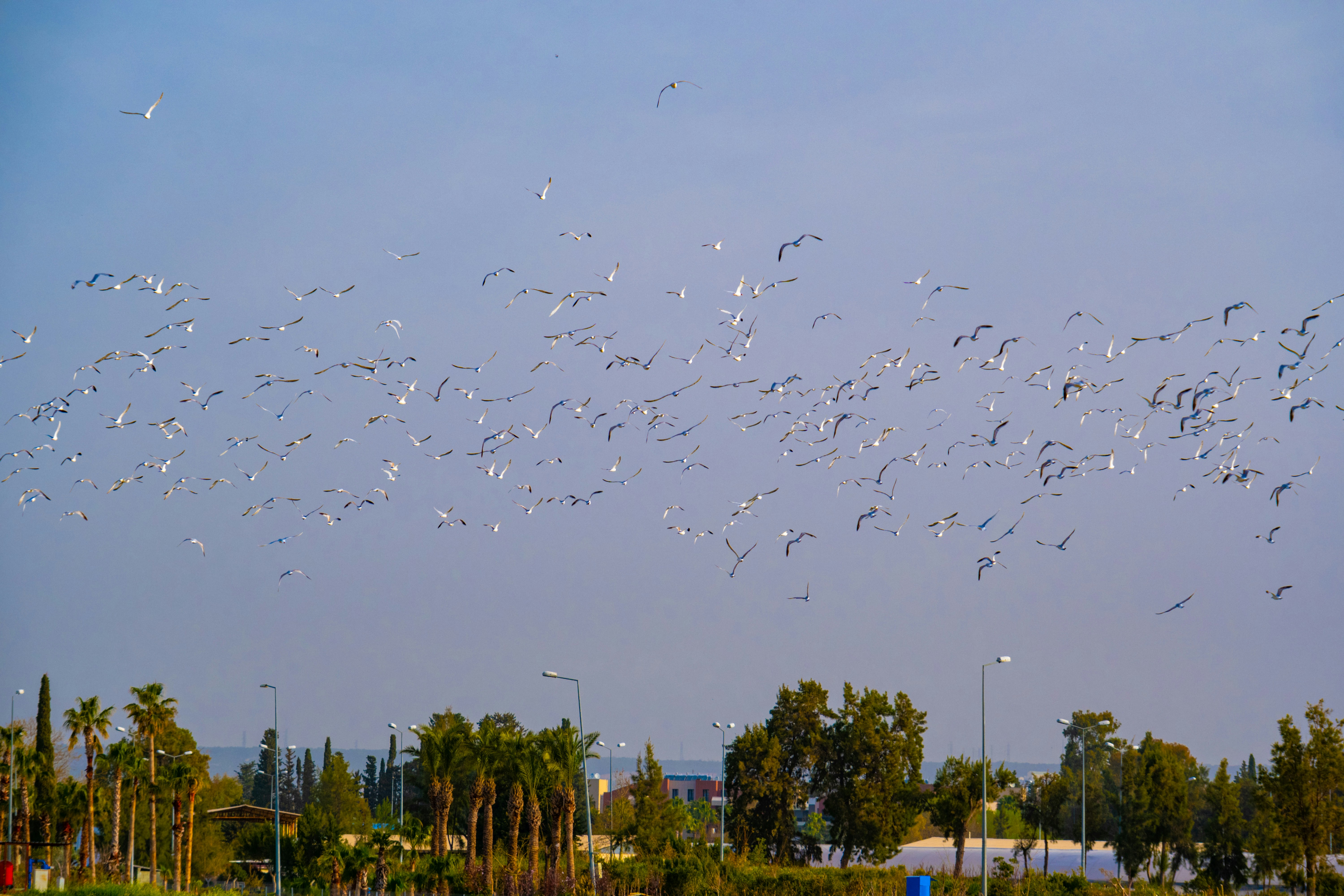 Food Scarcity: The Hunger Signal (image credits: unsplash)
