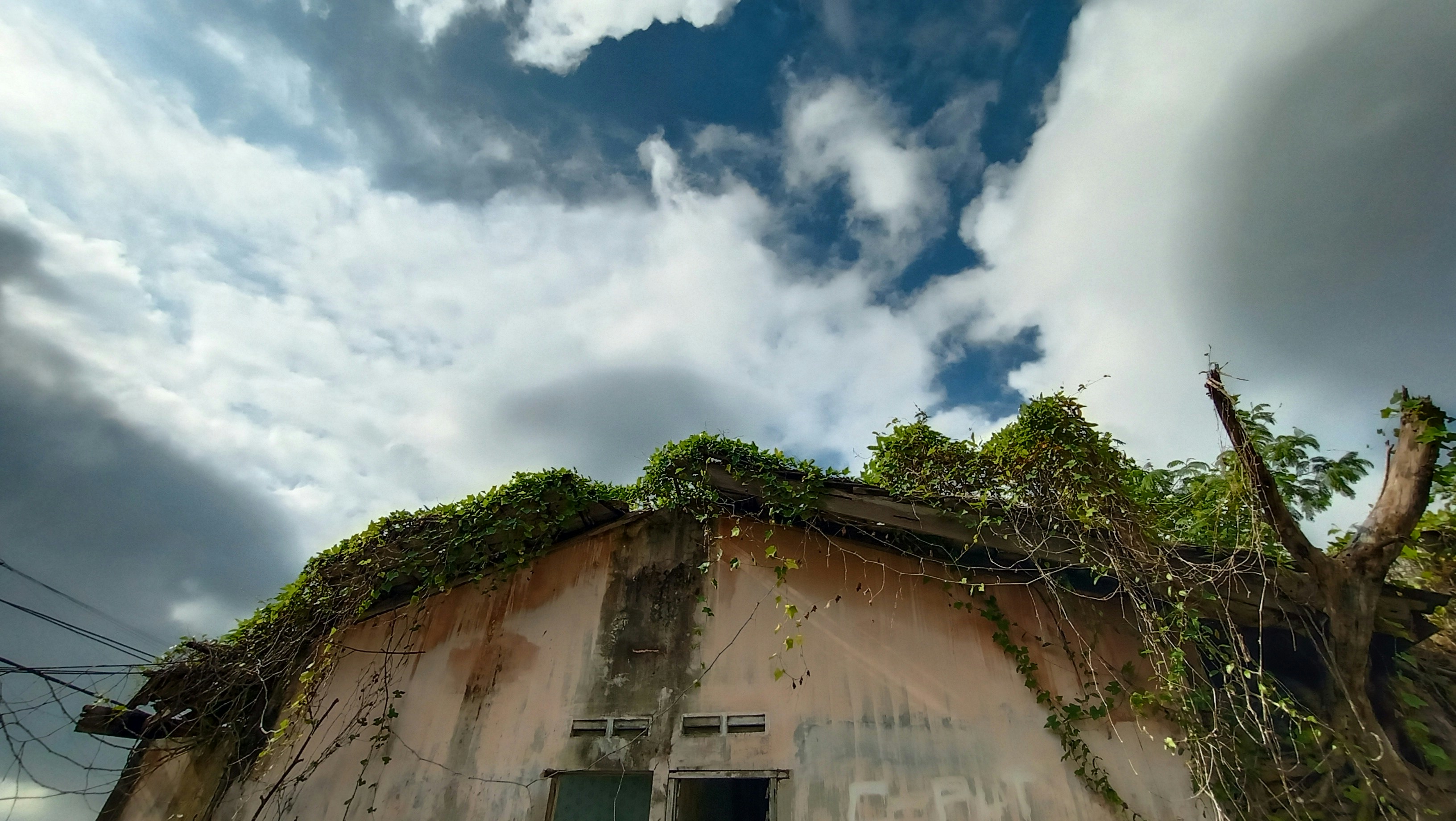 an old building with vines growing on it