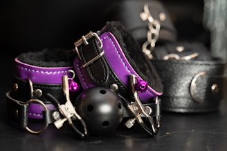 A collection of BDSM accessories including a purple and black collar, a ball gag, and metal clamps on a dark surface. The leather and metal materials reflect light, creating a glossy appearance.