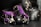 A collection of BDSM accessories including a purple and black collar, a ball gag, and metal clamps on a dark surface. The leather and metal materials reflect light, creating a glossy appearance.