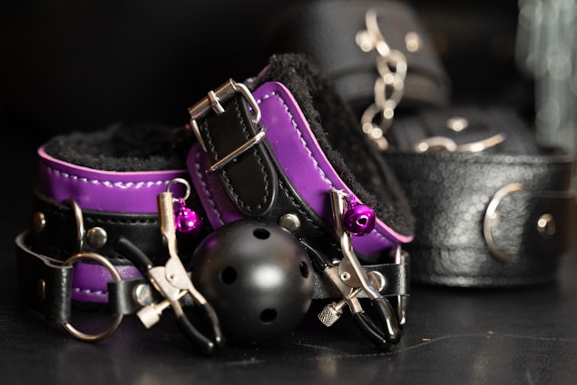 A collection of BDSM accessories including a purple and black collar, a ball gag, and metal clamps on a dark surface. The leather and metal materials reflect light, creating a glossy appearance.