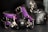 A collection of BDSM accessories including a purple and black collar, a ball gag, and metal clamps on a dark surface. The leather and metal materials reflect light, creating a glossy appearance.