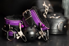 A collection of BDSM accessories including a purple and black collar, a ball gag, and metal clamps on a dark surface. The leather and metal materials reflect light, creating a glossy appearance.