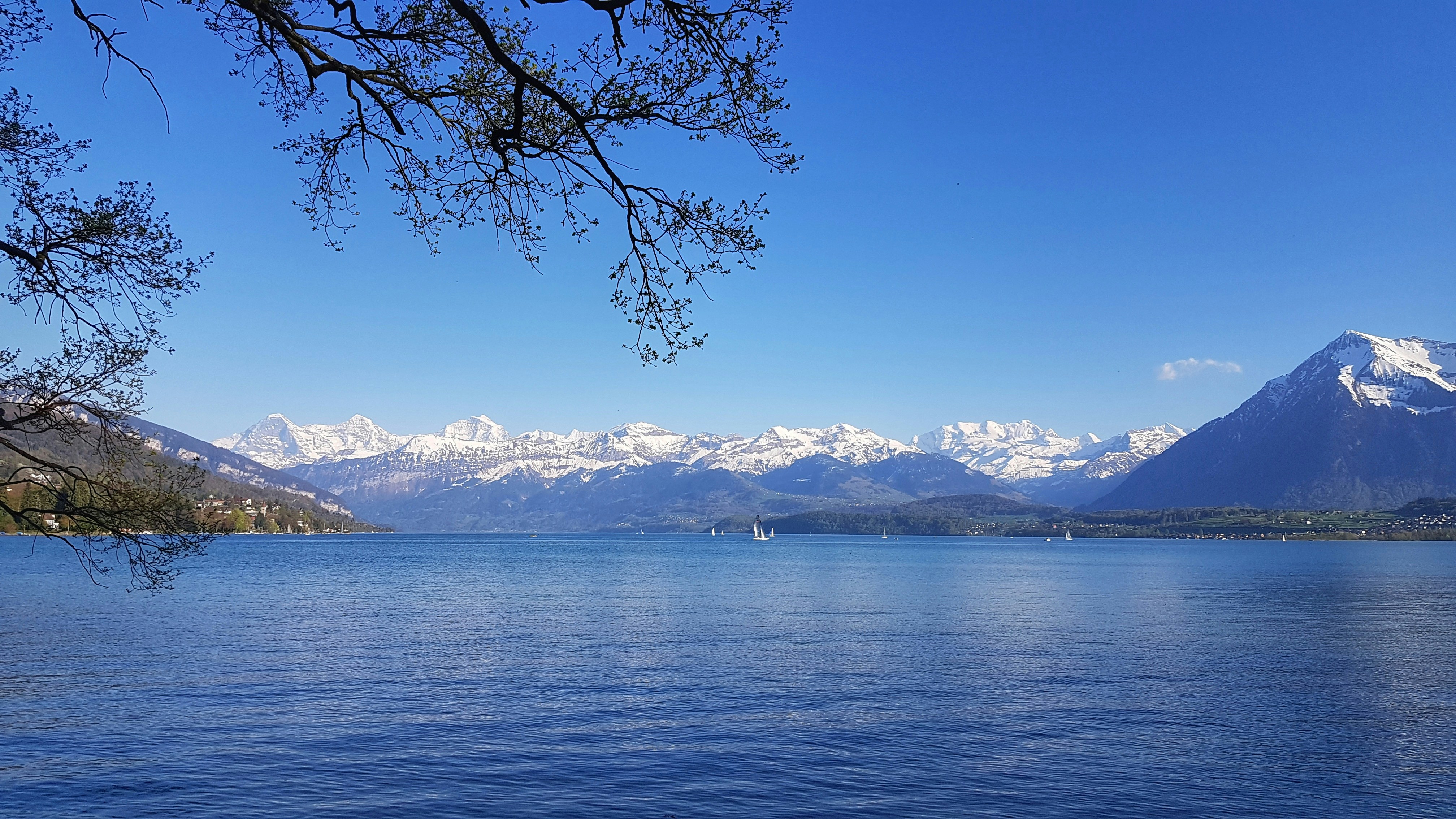 Photo by marc_schnau