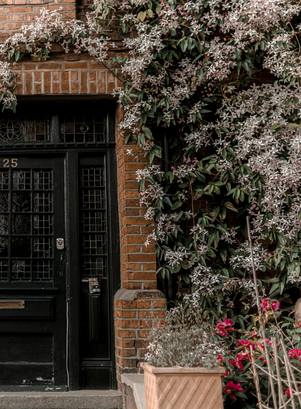 a building with a black door surrounded by plants