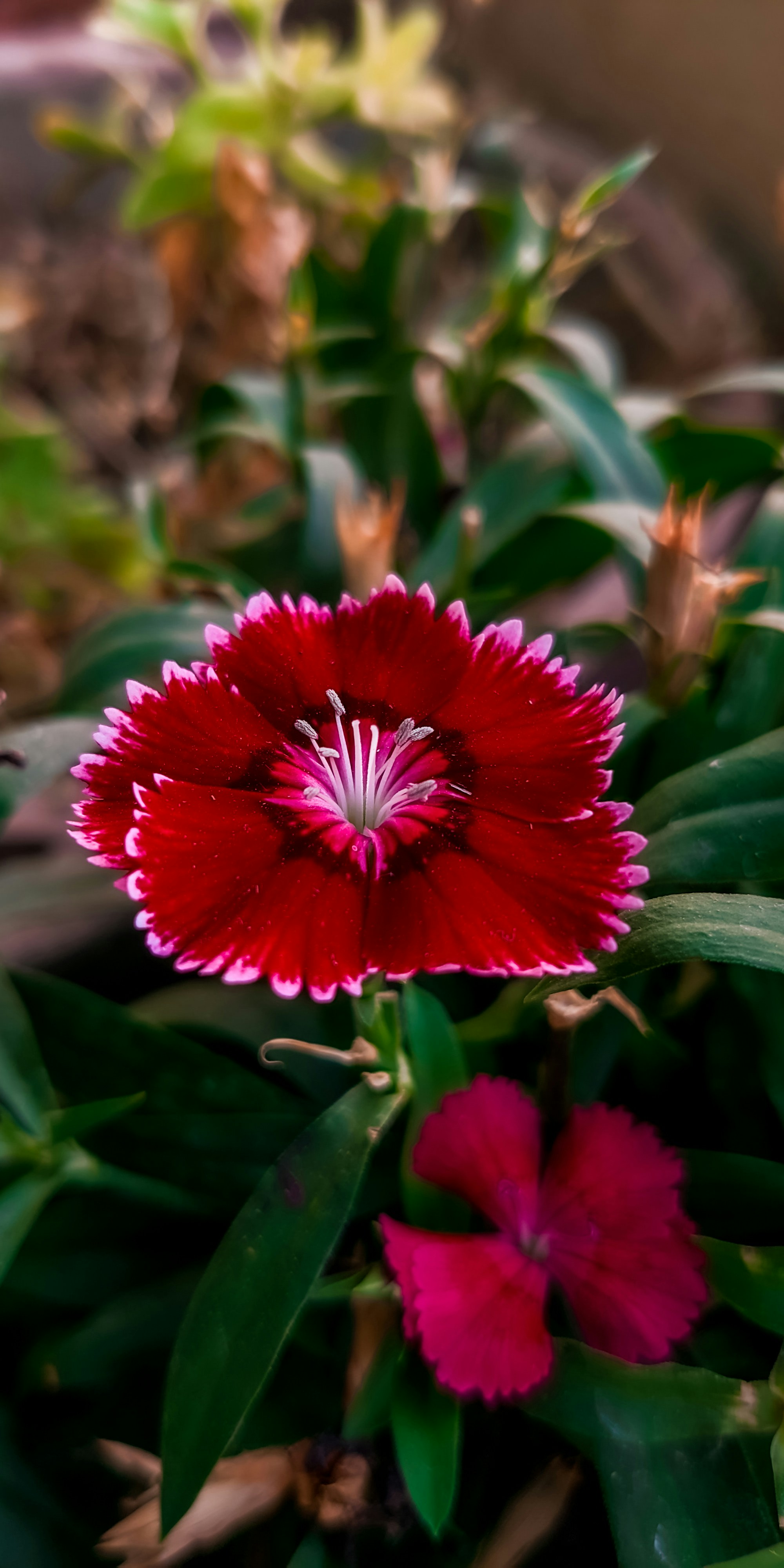 Photo by ranjanaphotography