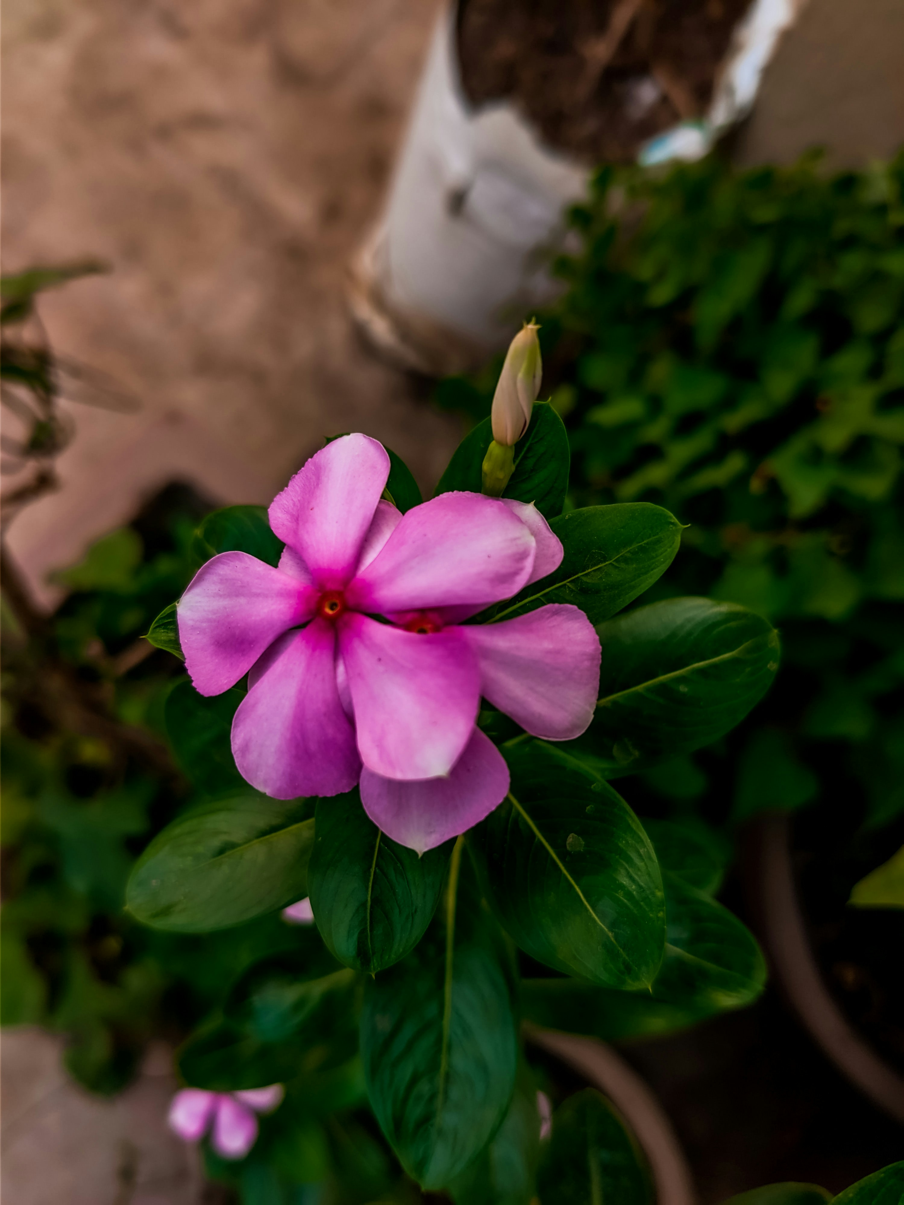 Photo by ranjanaphotography