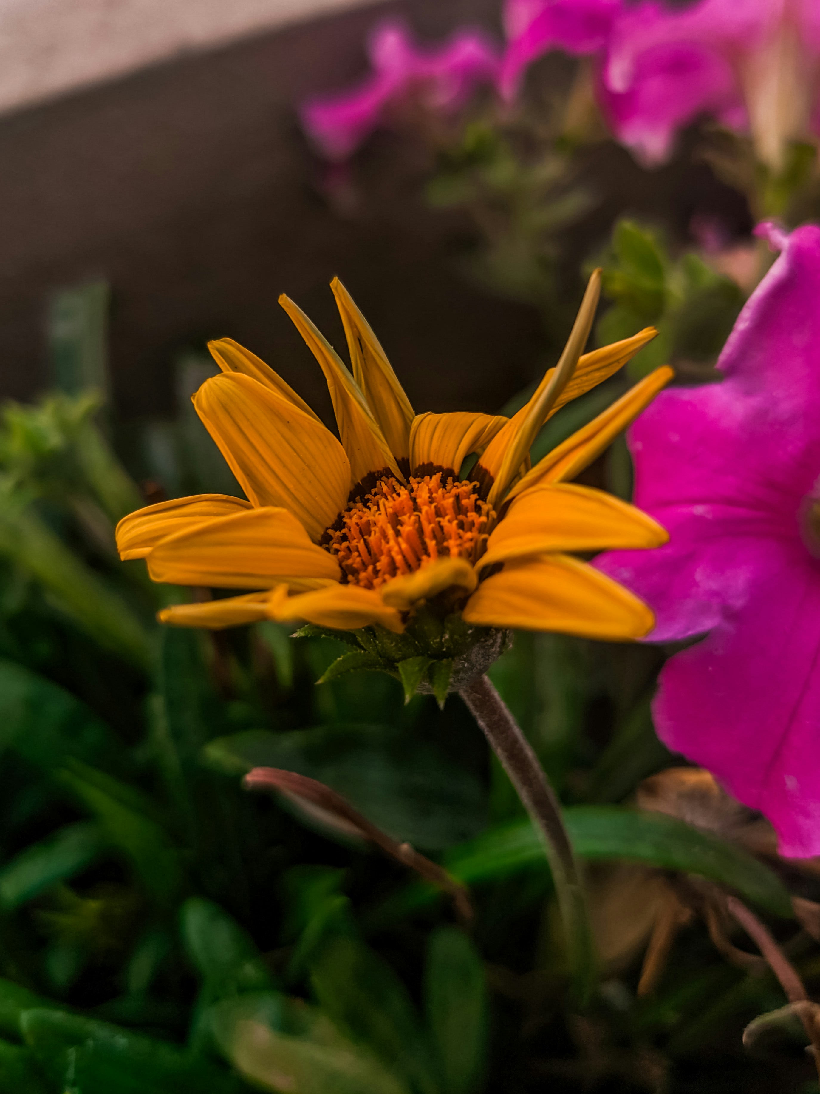 Photo by ranjanaphotography