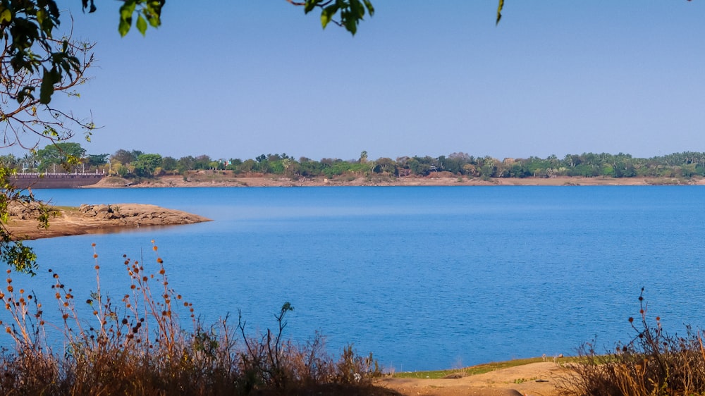 a large body of water surrounded by a forest