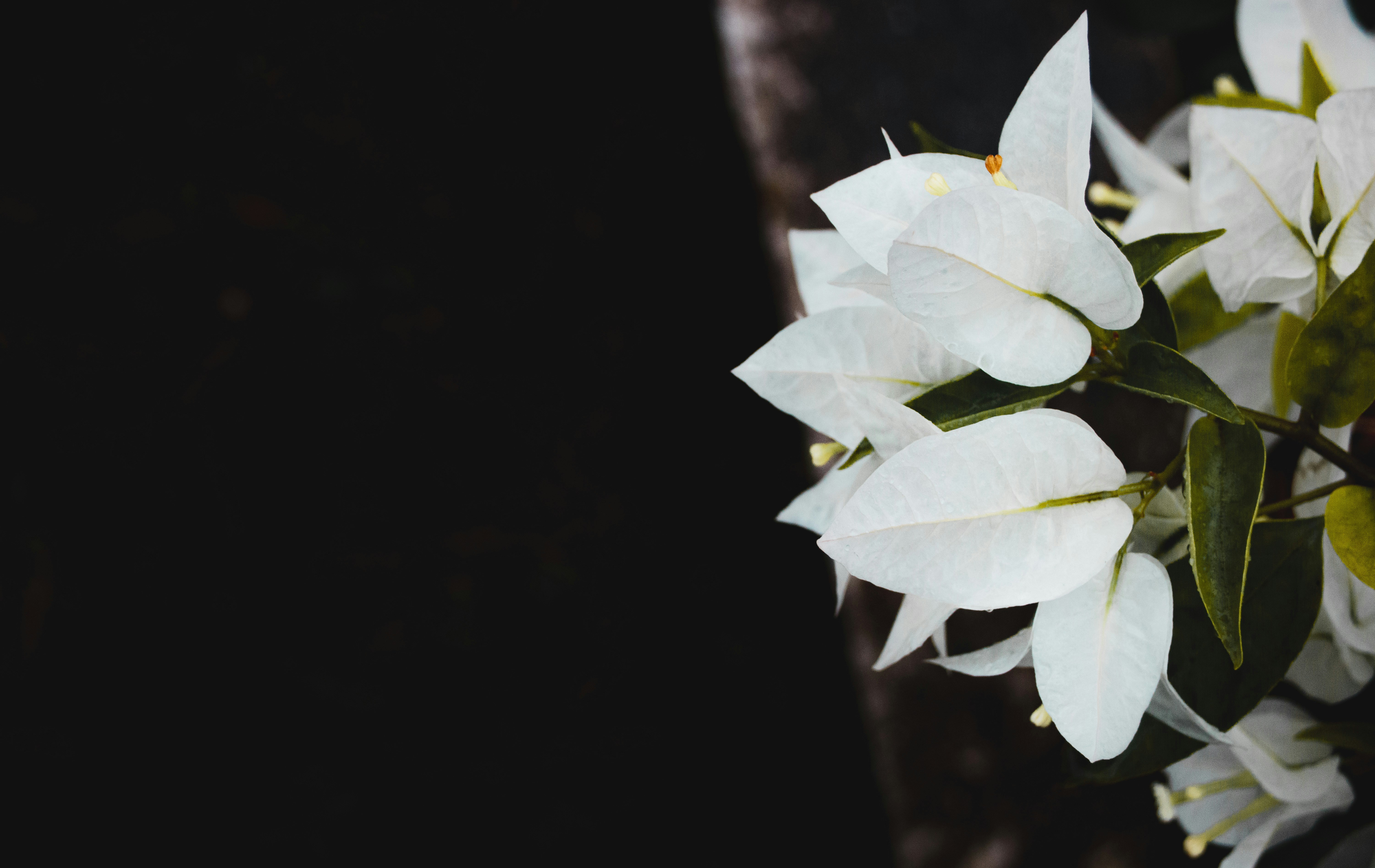 Photo by roadahead_2223