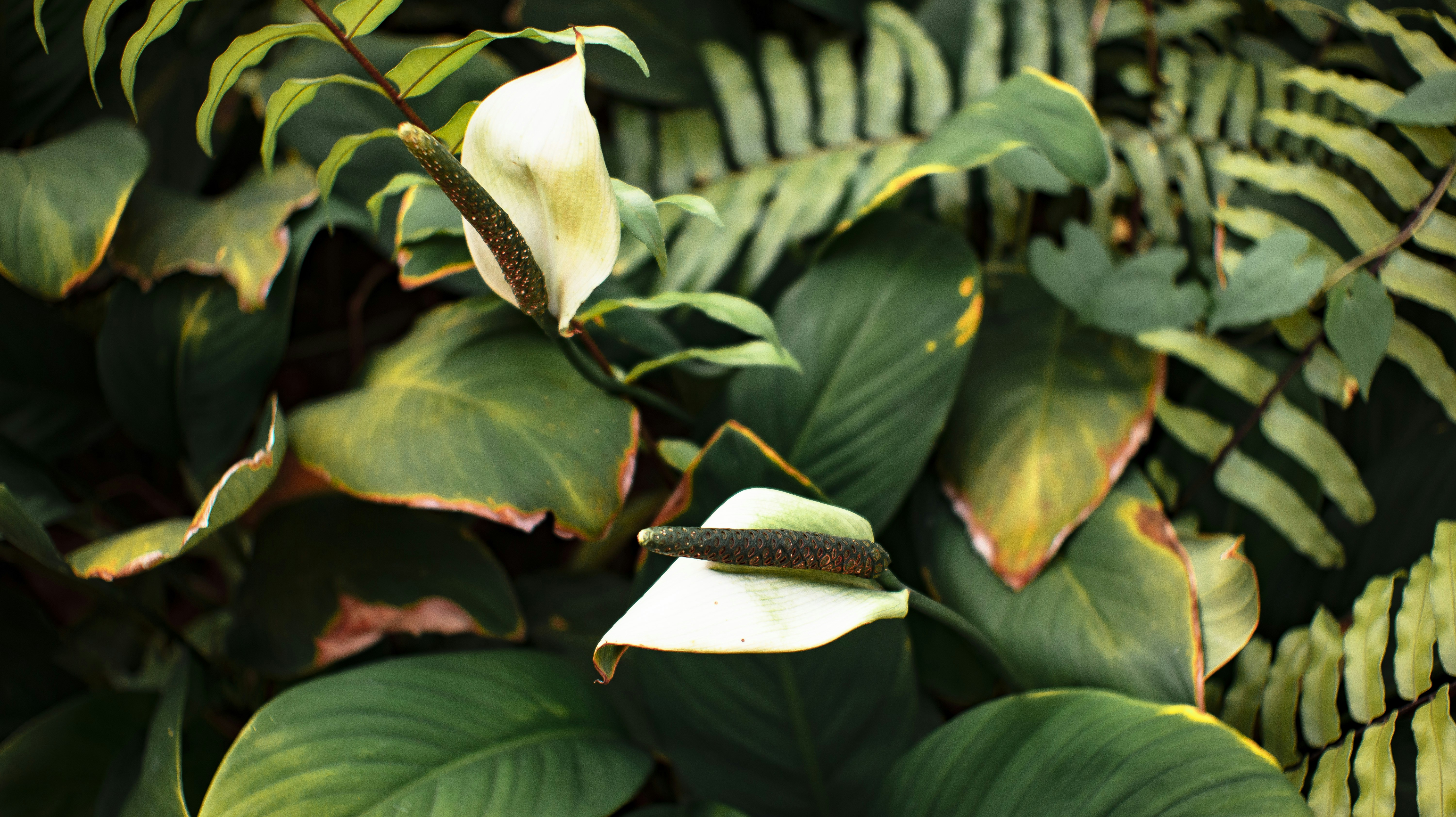 Photo by roadahead_2223