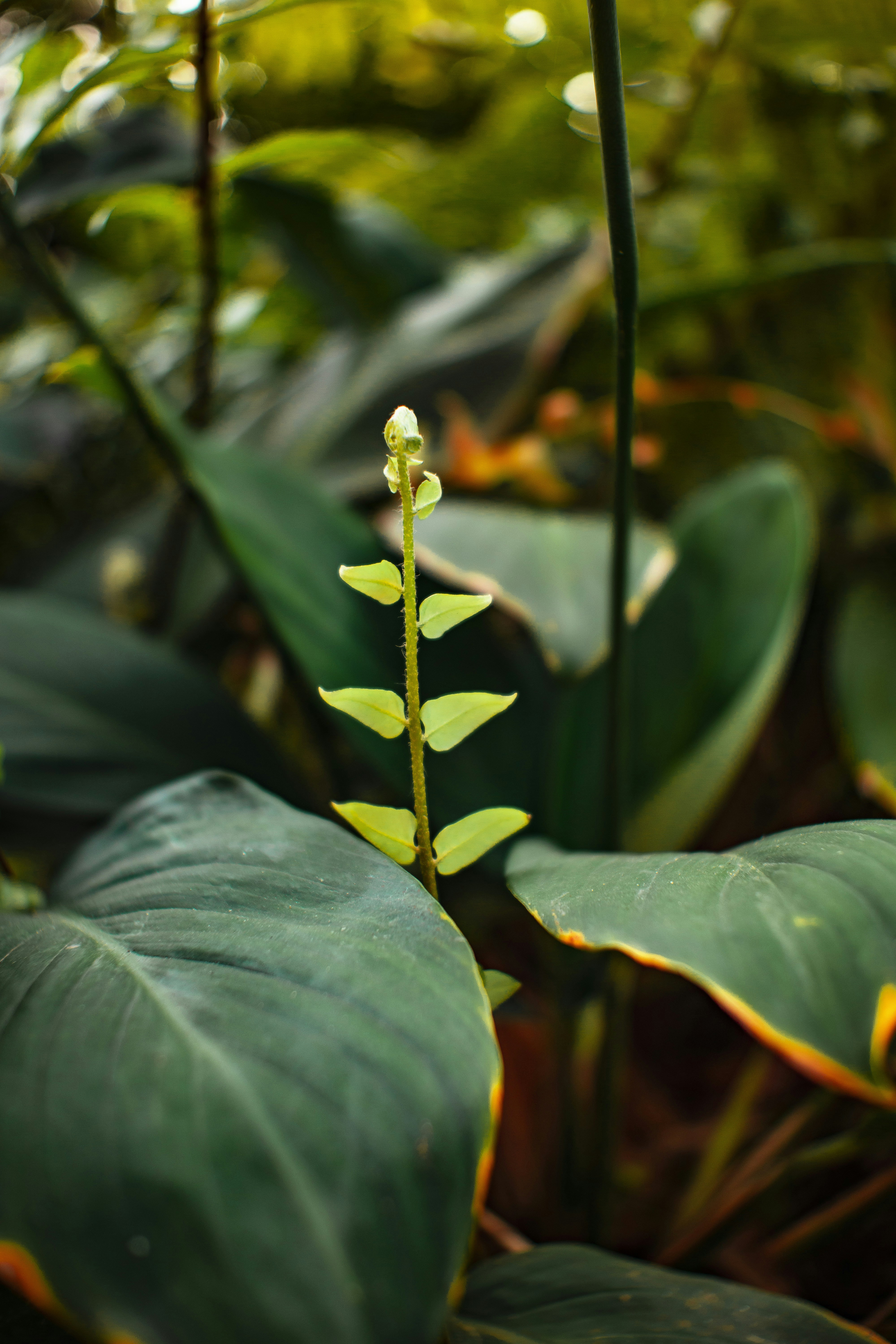 Photo by roadahead_2223