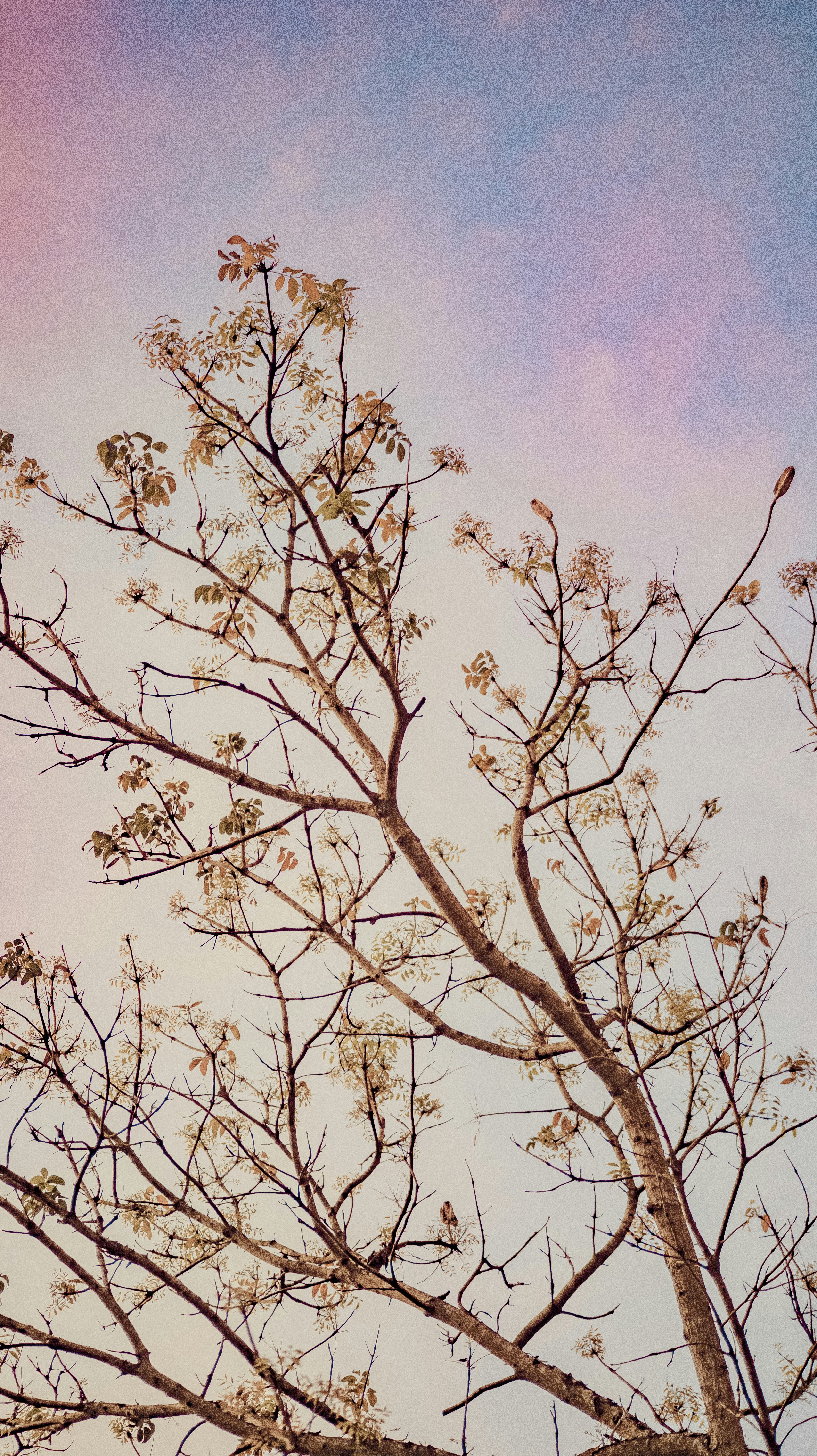 Photo by roadahead_2223