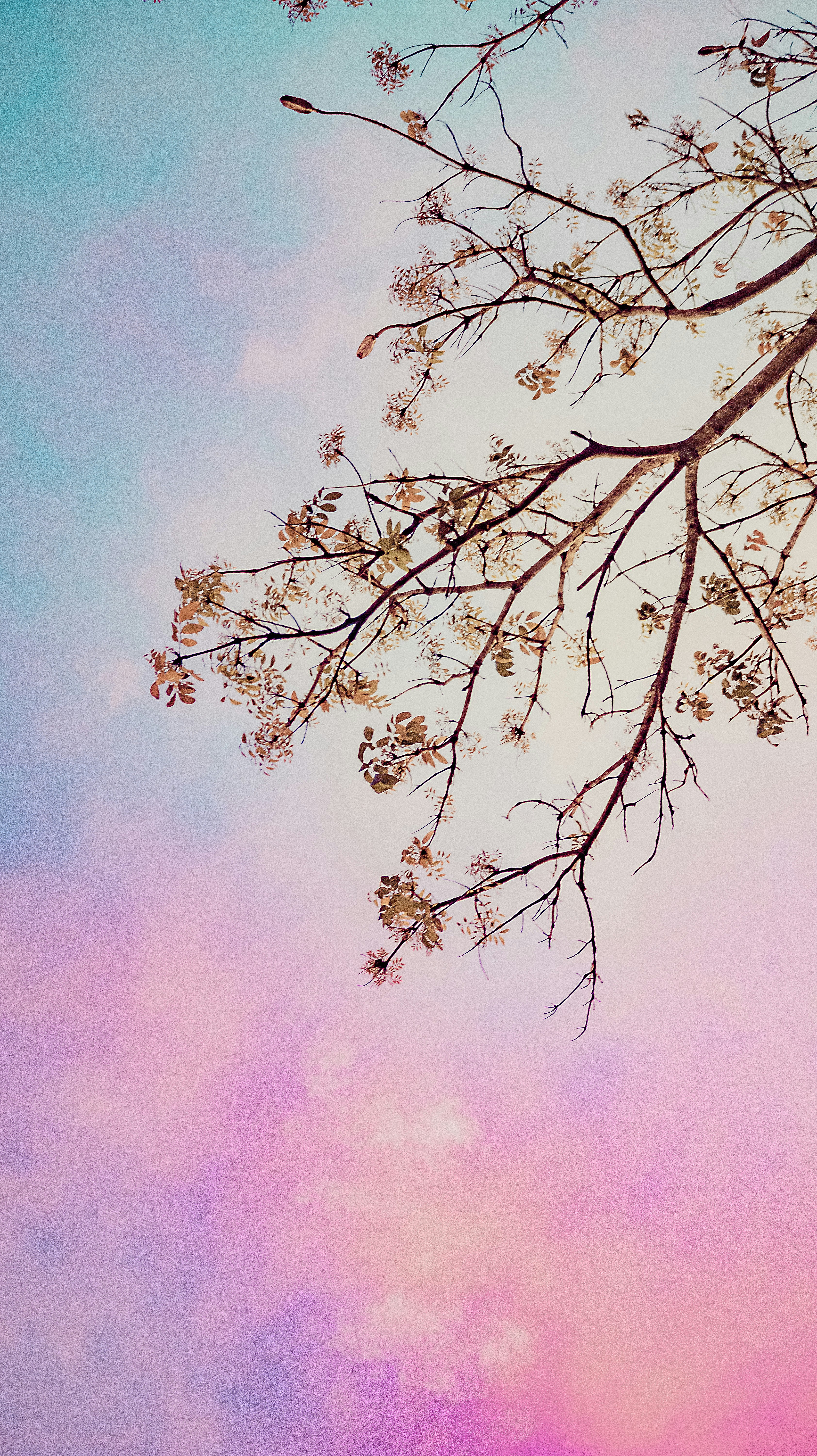 Photo by roadahead_2223