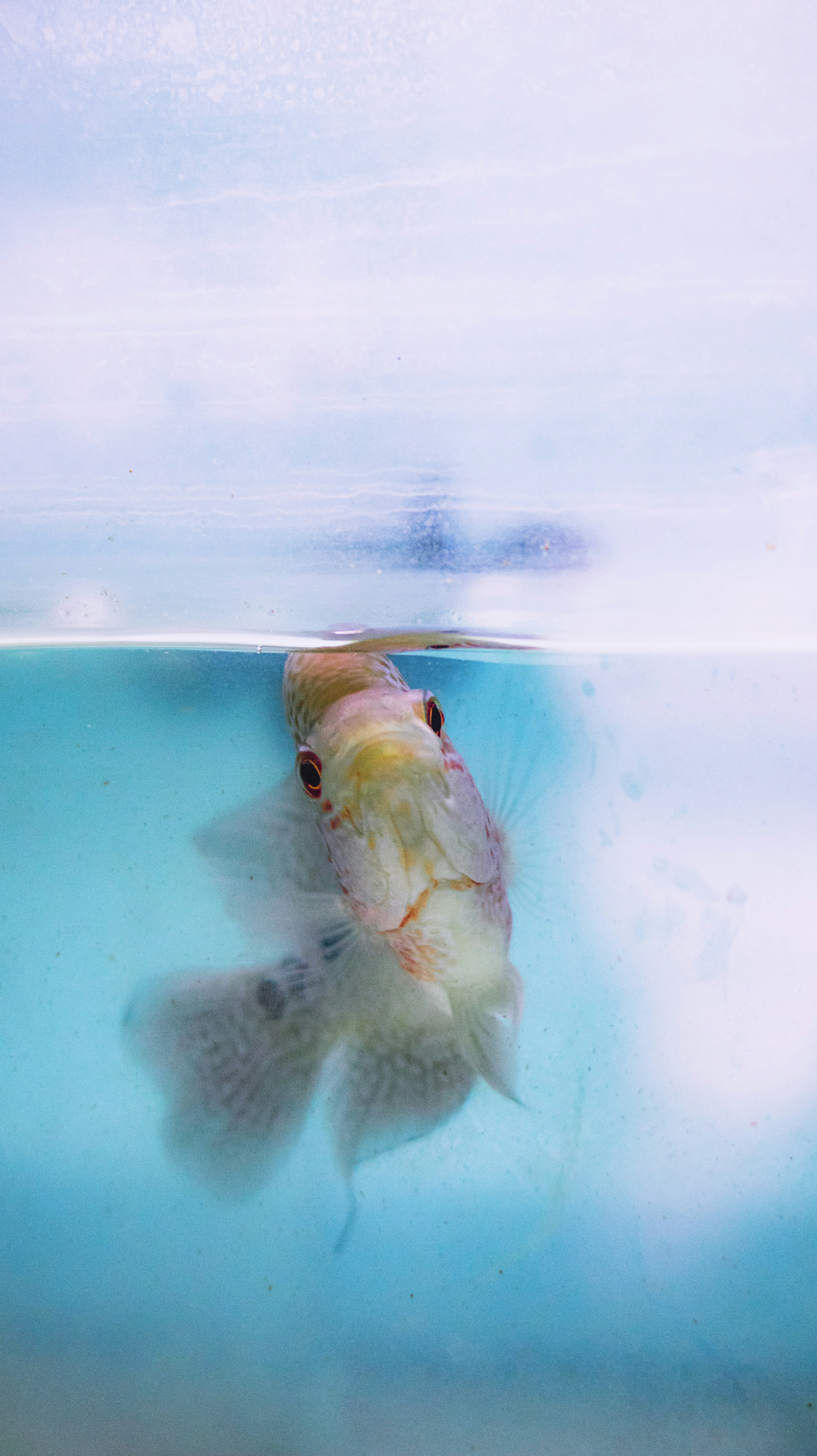 Photo by roadahead_2223