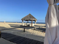 Best Tea Lounges in San Jose del Cabo for a Proper Sit-Down Cup