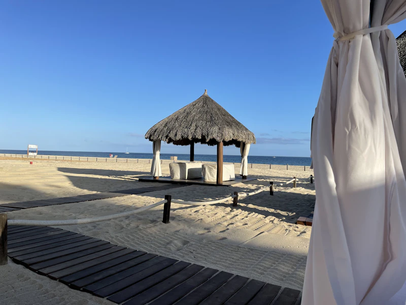 Best Tea Lounges in San Jose del Cabo for a Proper Sit-Down Cup