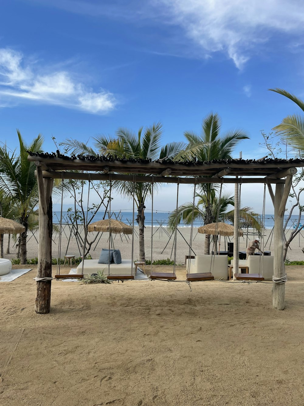 una spiaggia coperta da un sacco di palme