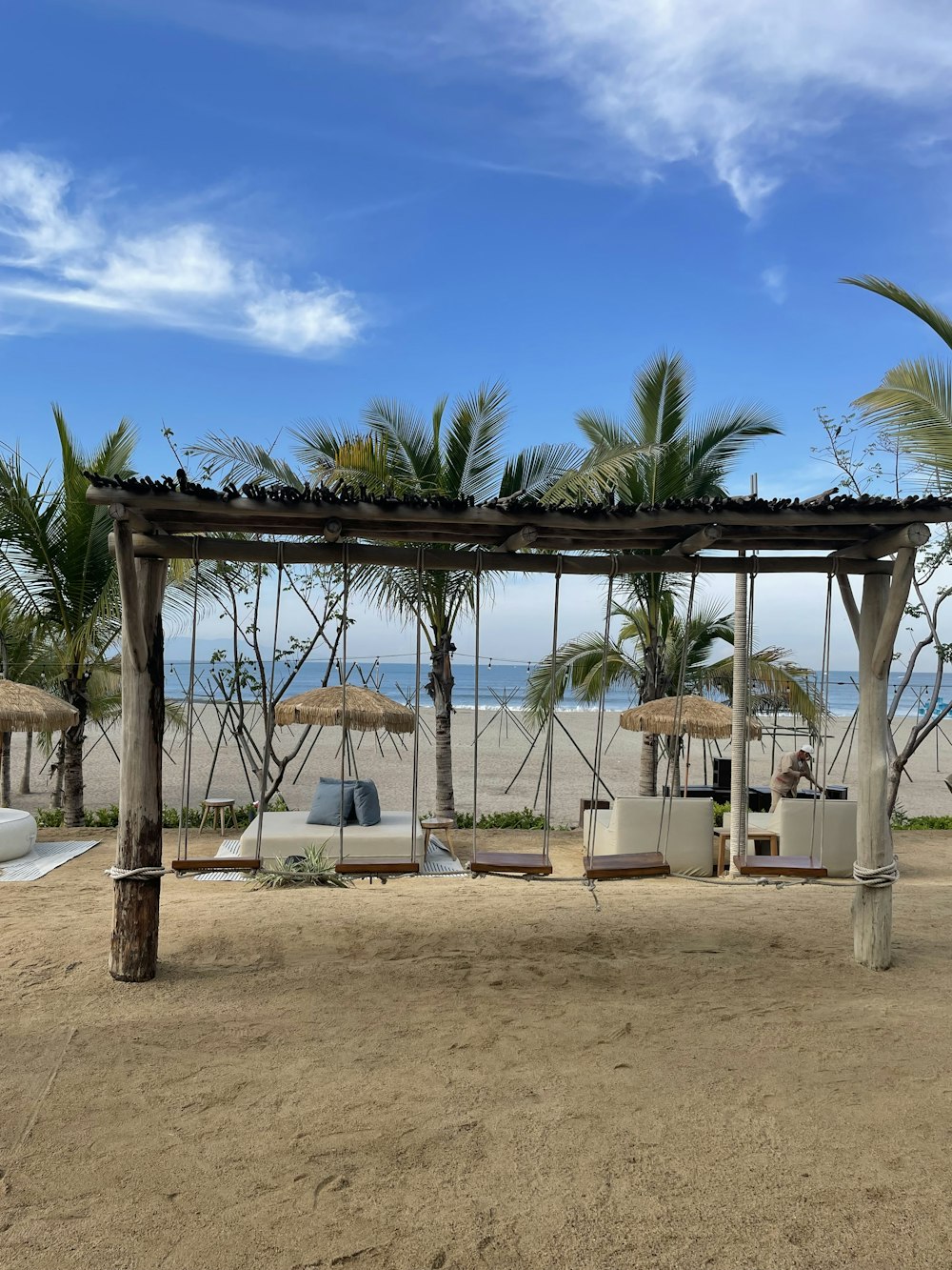 a beach covered in lots of palm trees