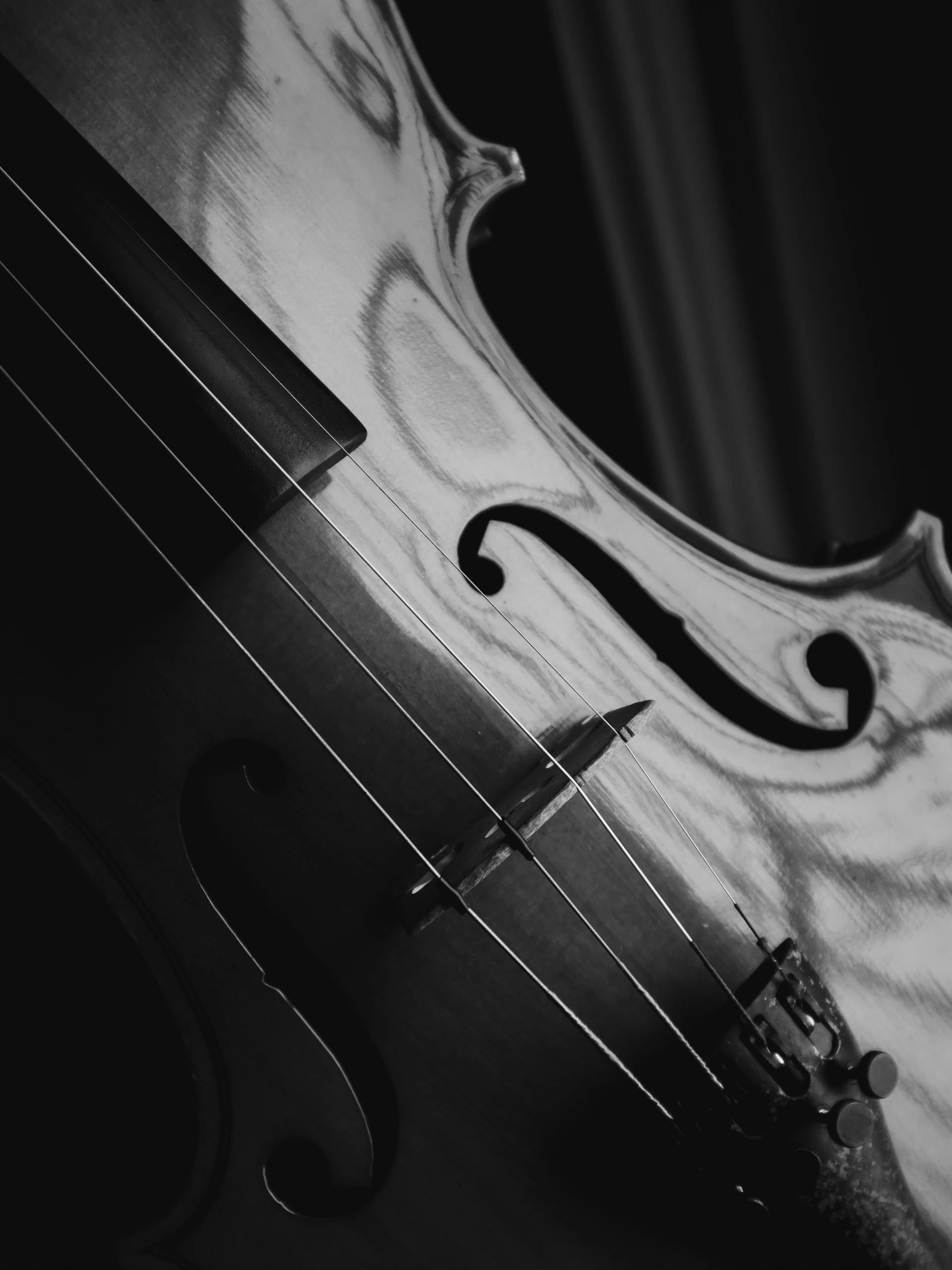 a close up of a violin on a black background