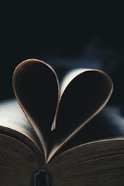 An open book with electric violet and neon cyan light illuminating a rose gold heart wrapped in thorns.