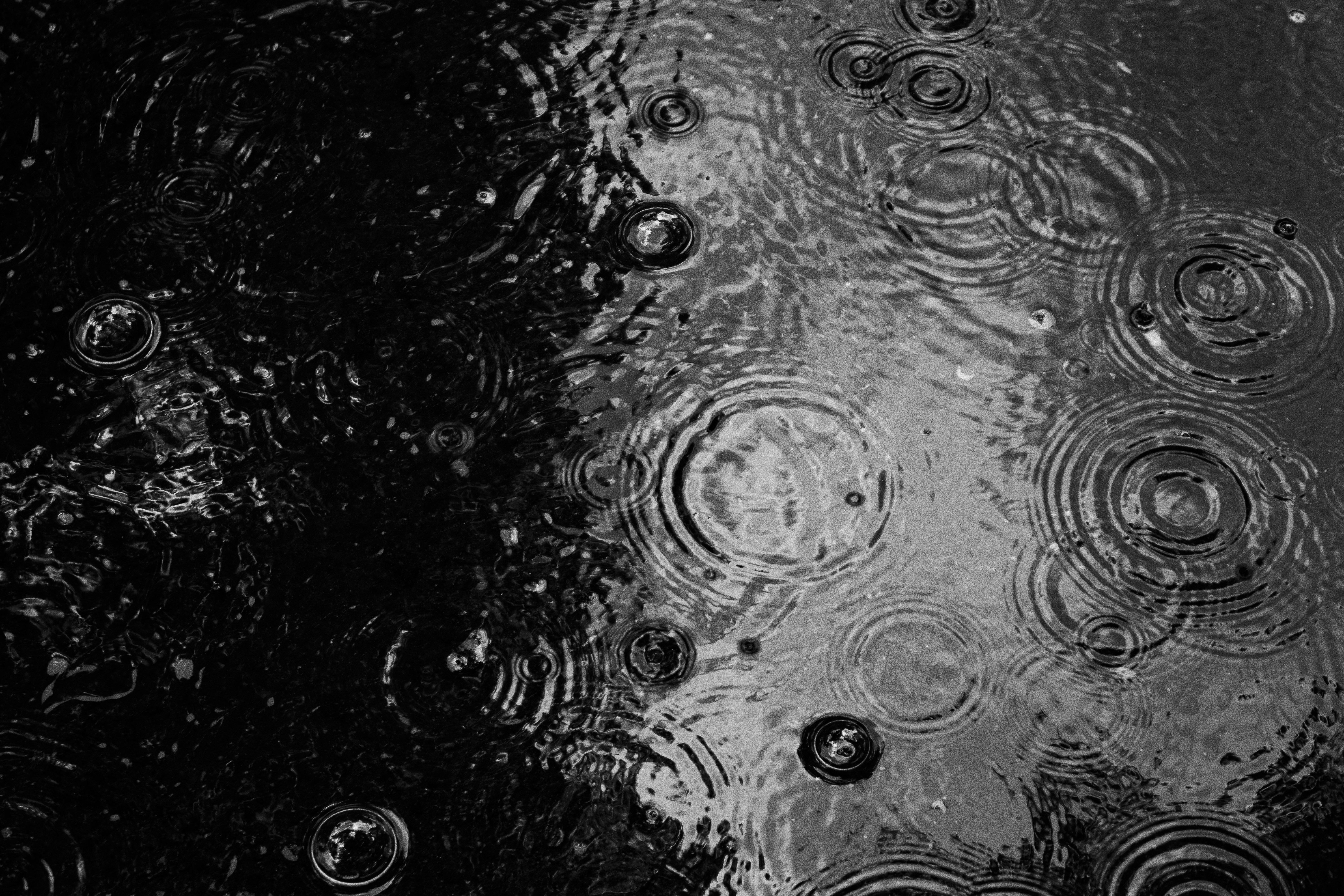 Photo by roadahead_2223