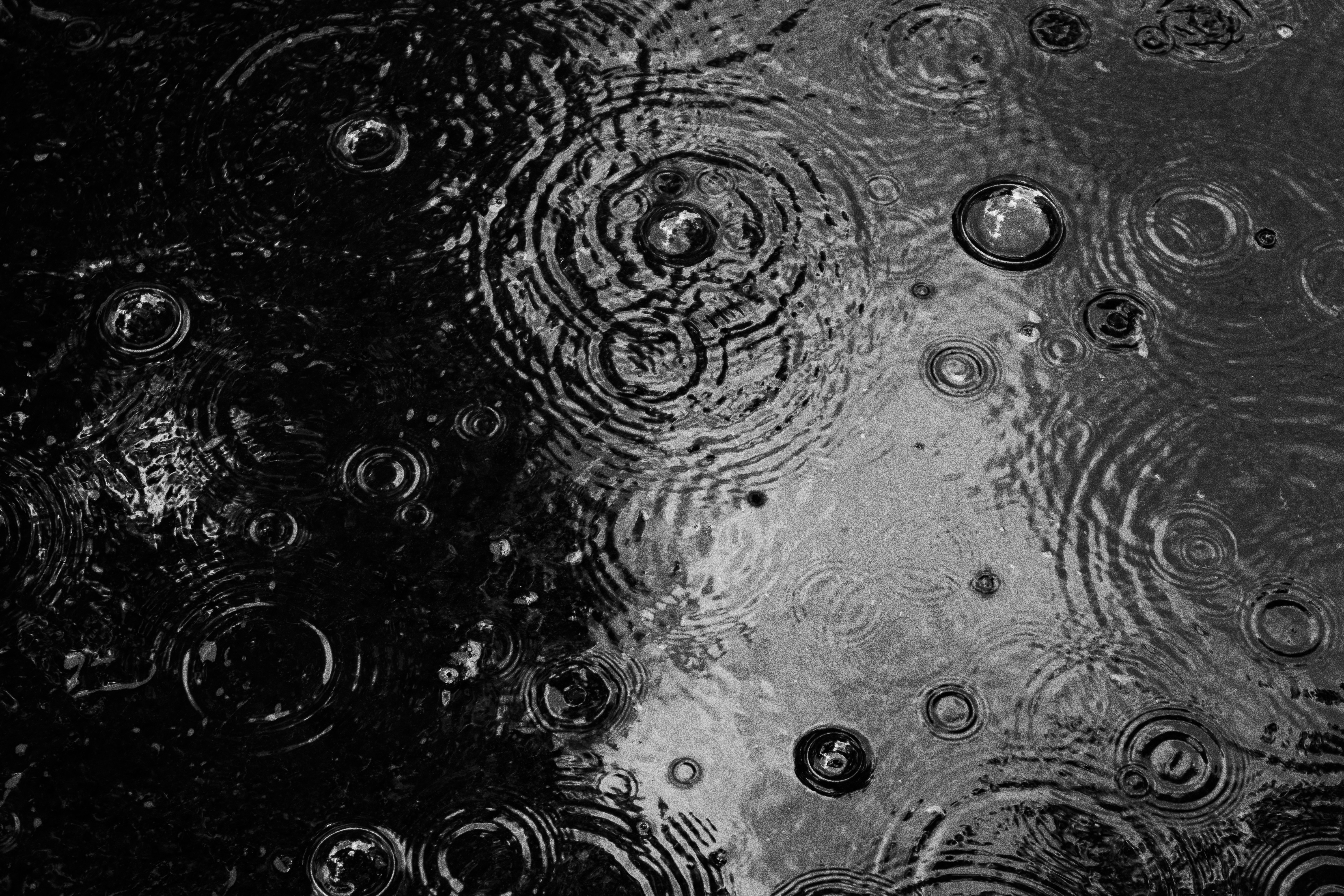 Photo by roadahead_2223