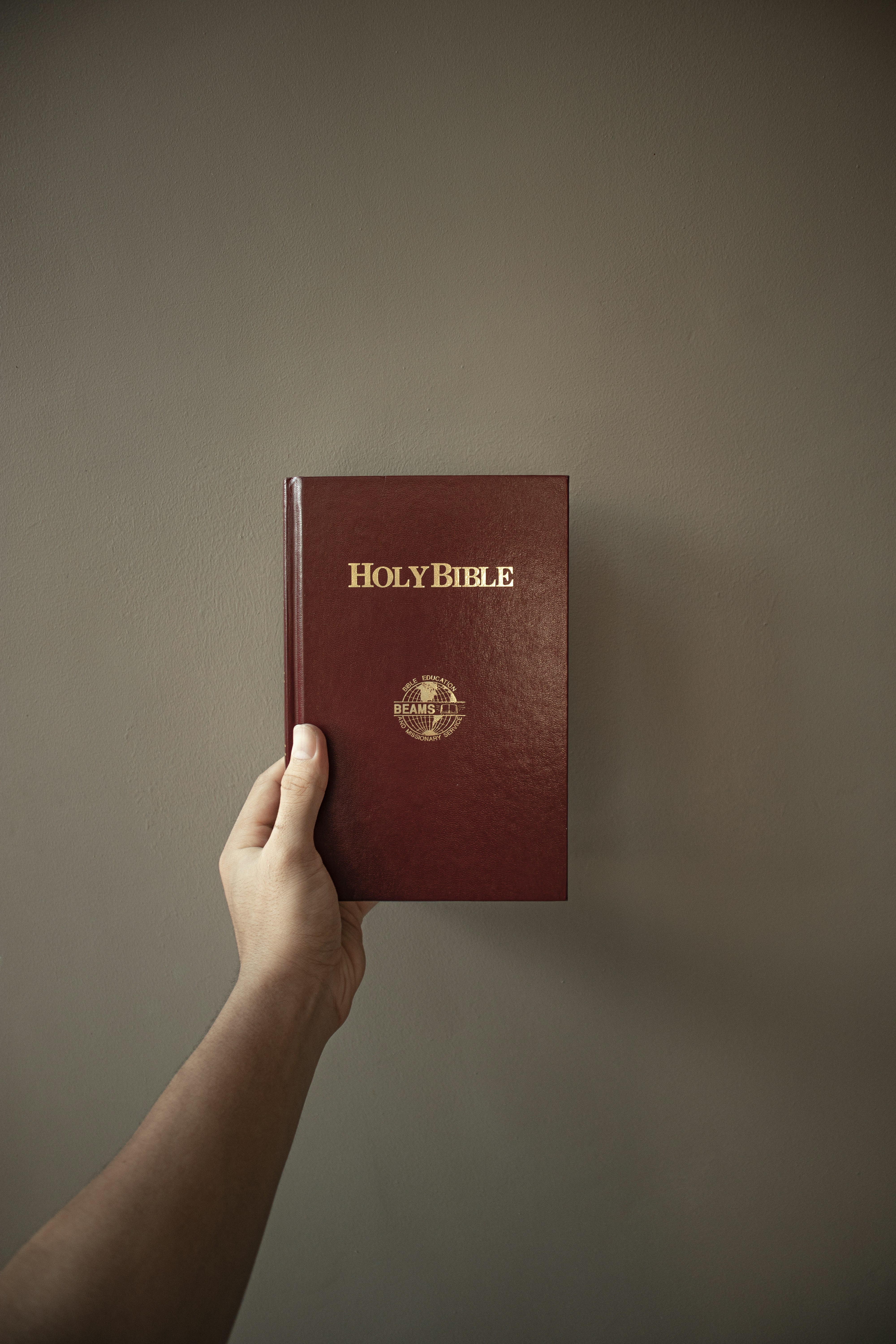 a person holding a bible in their hand