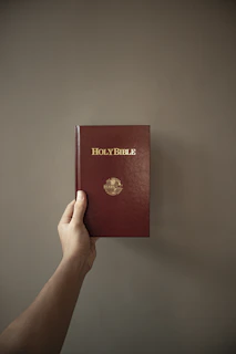 a person holding a bible in their hand