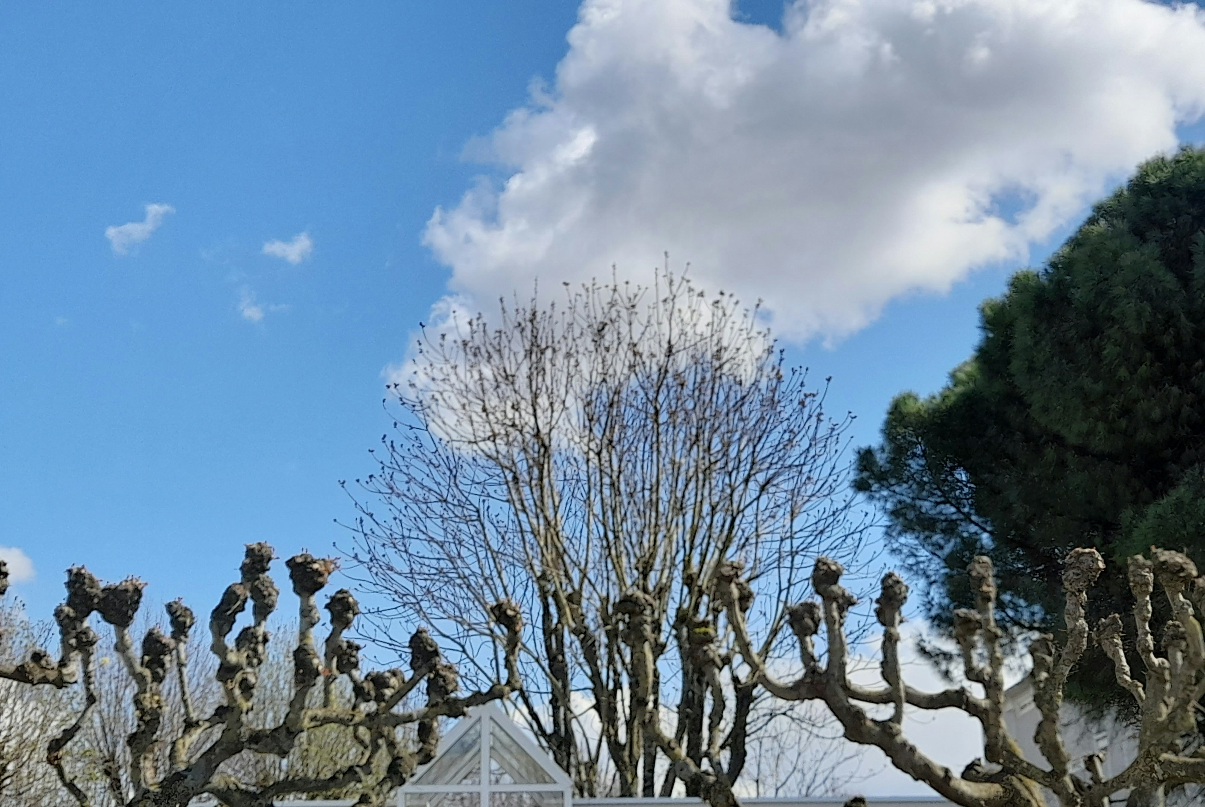 Camposanto Monumentale (Monumental Cemetery)