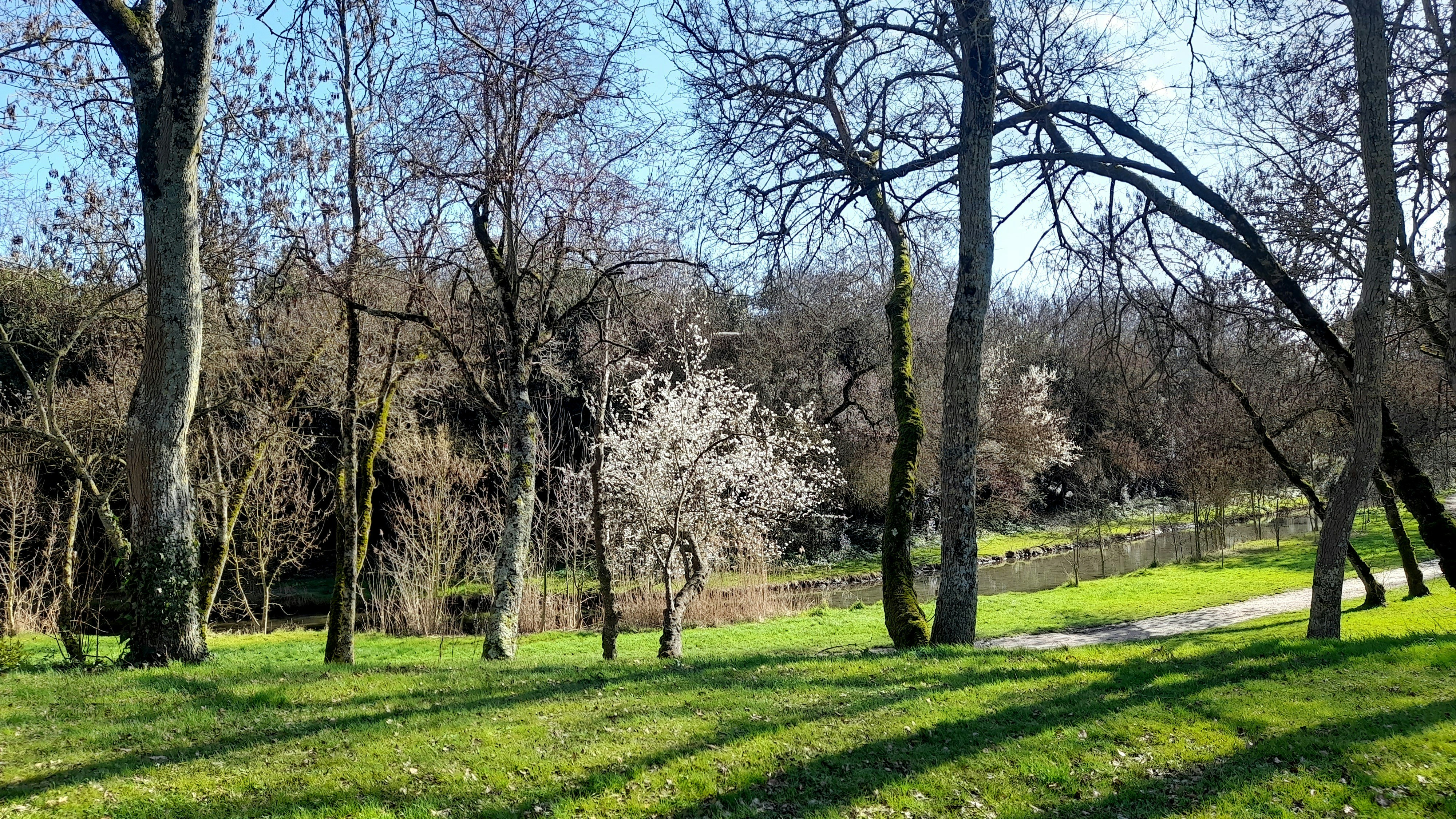 Four Seasons Park