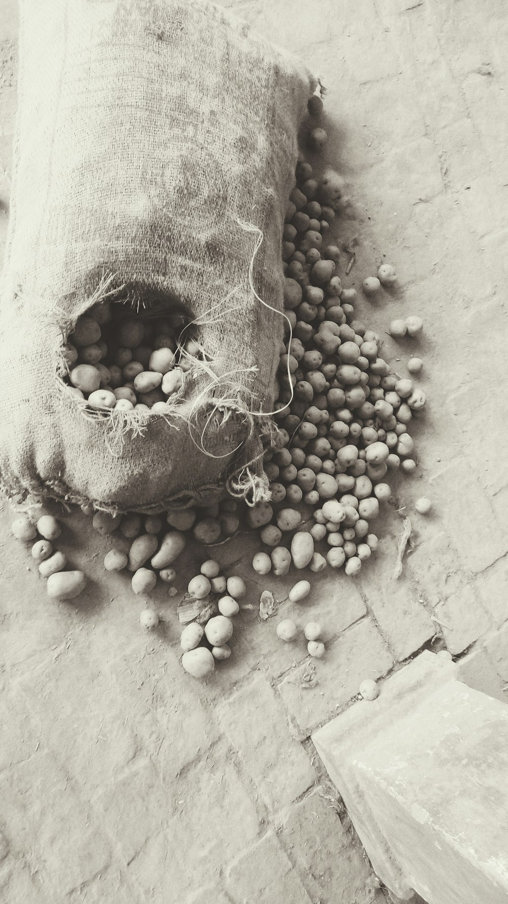 a bag filled with nuts sitting on top of a stone floor