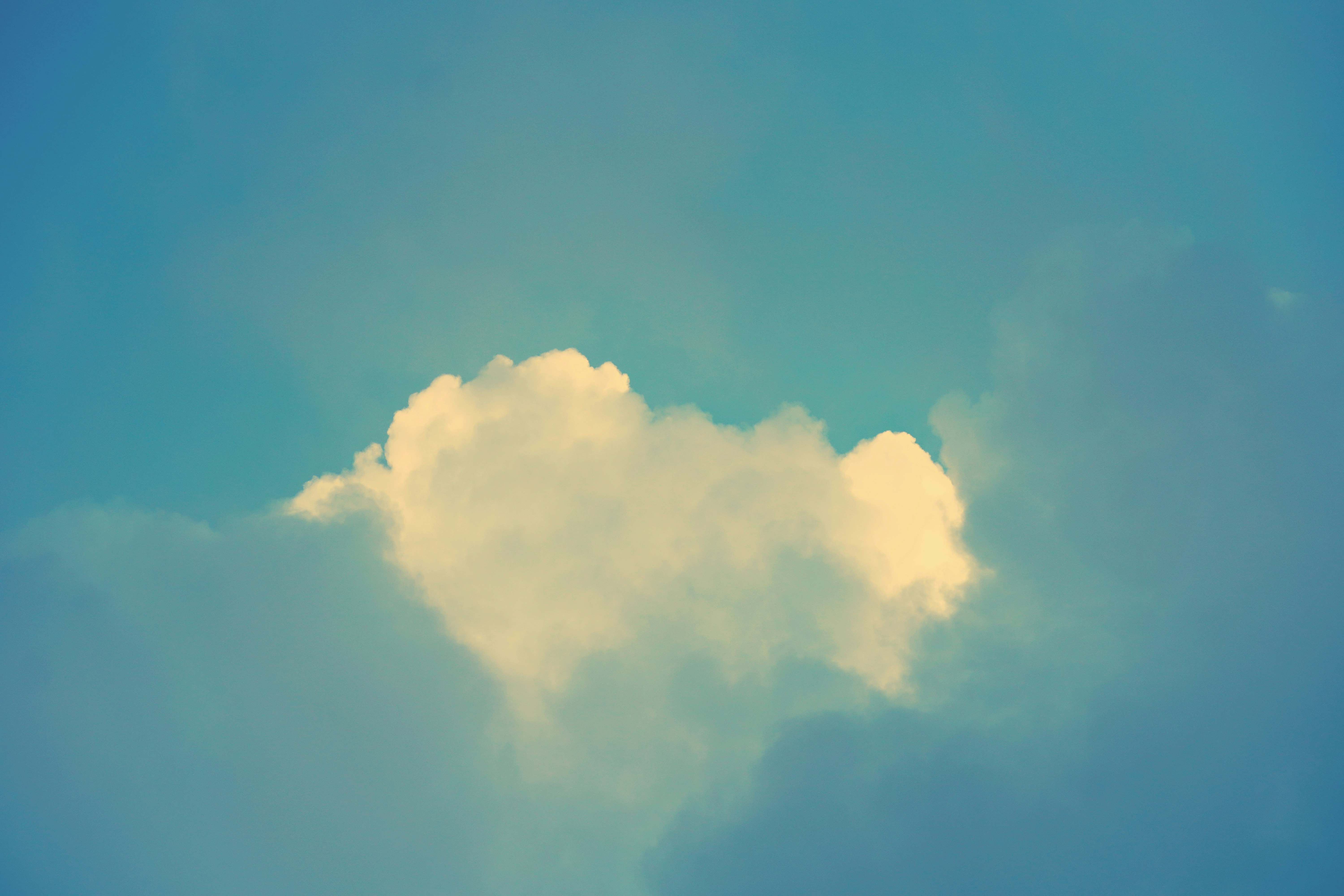 OpenDentalFork Cloud Edition Dental Practice Management