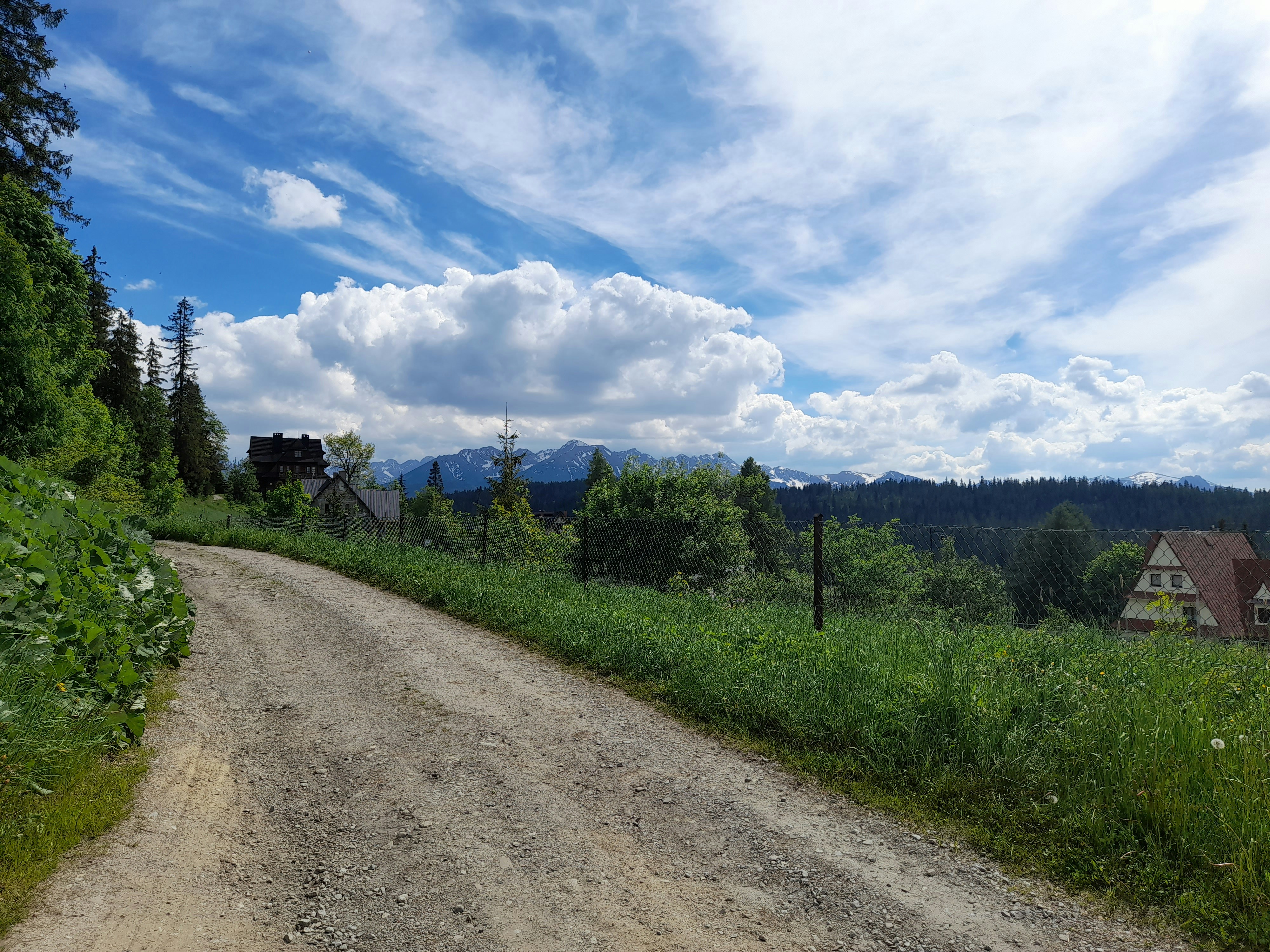 Photo by patrykrp
