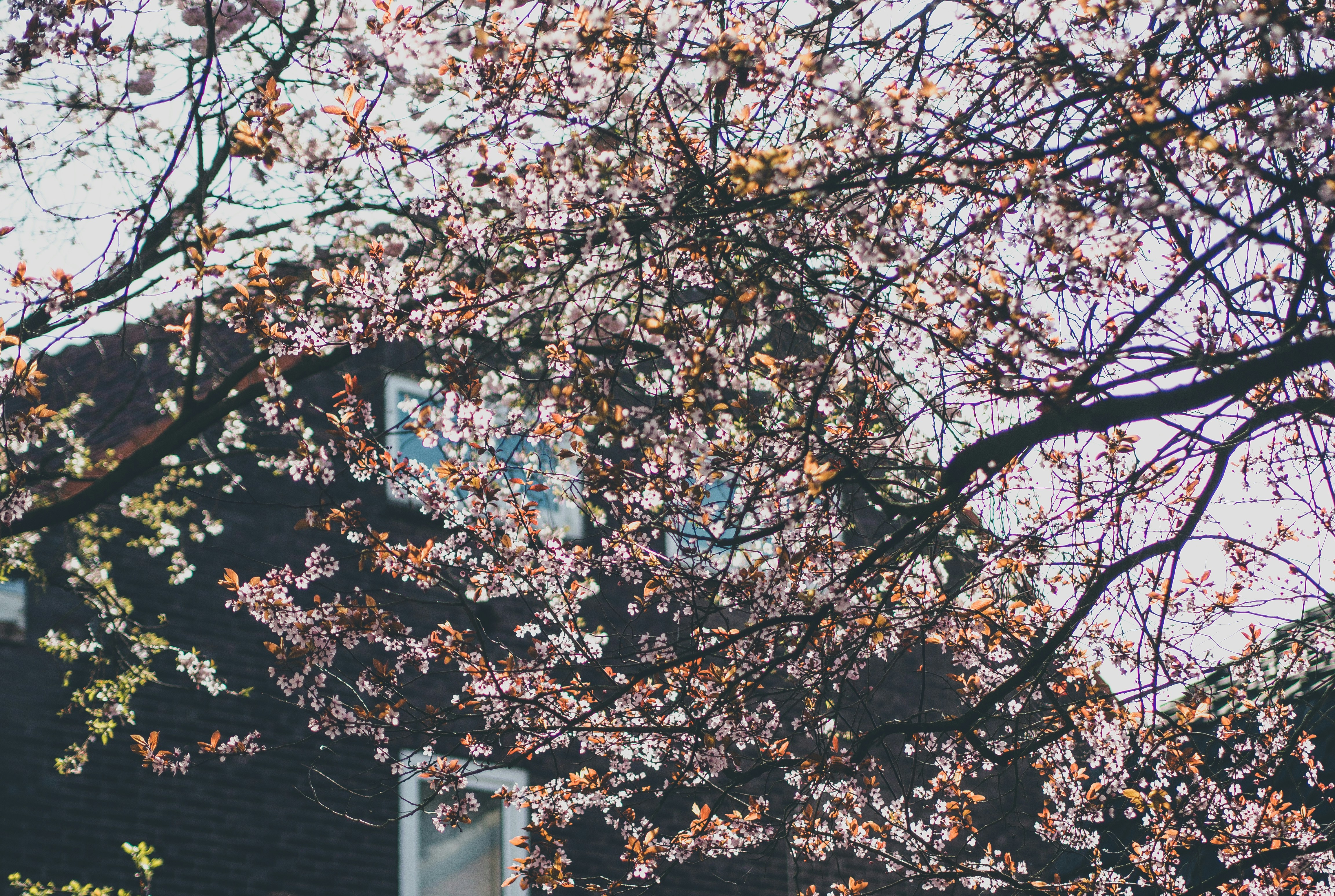 Photo by marta_alexandra