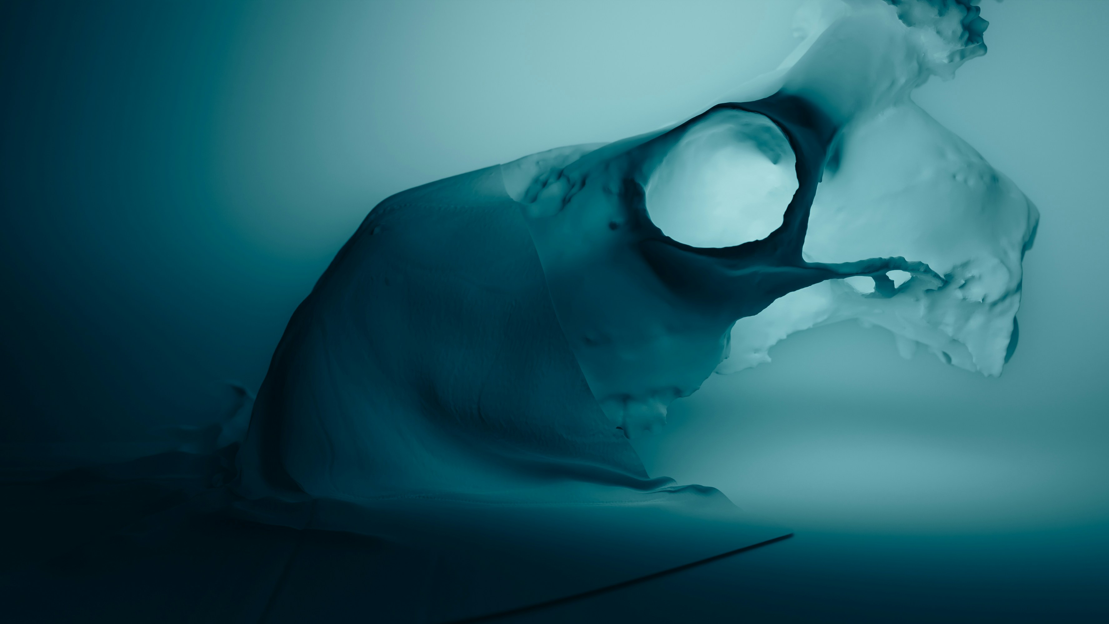 Photo by marekpiwnicki