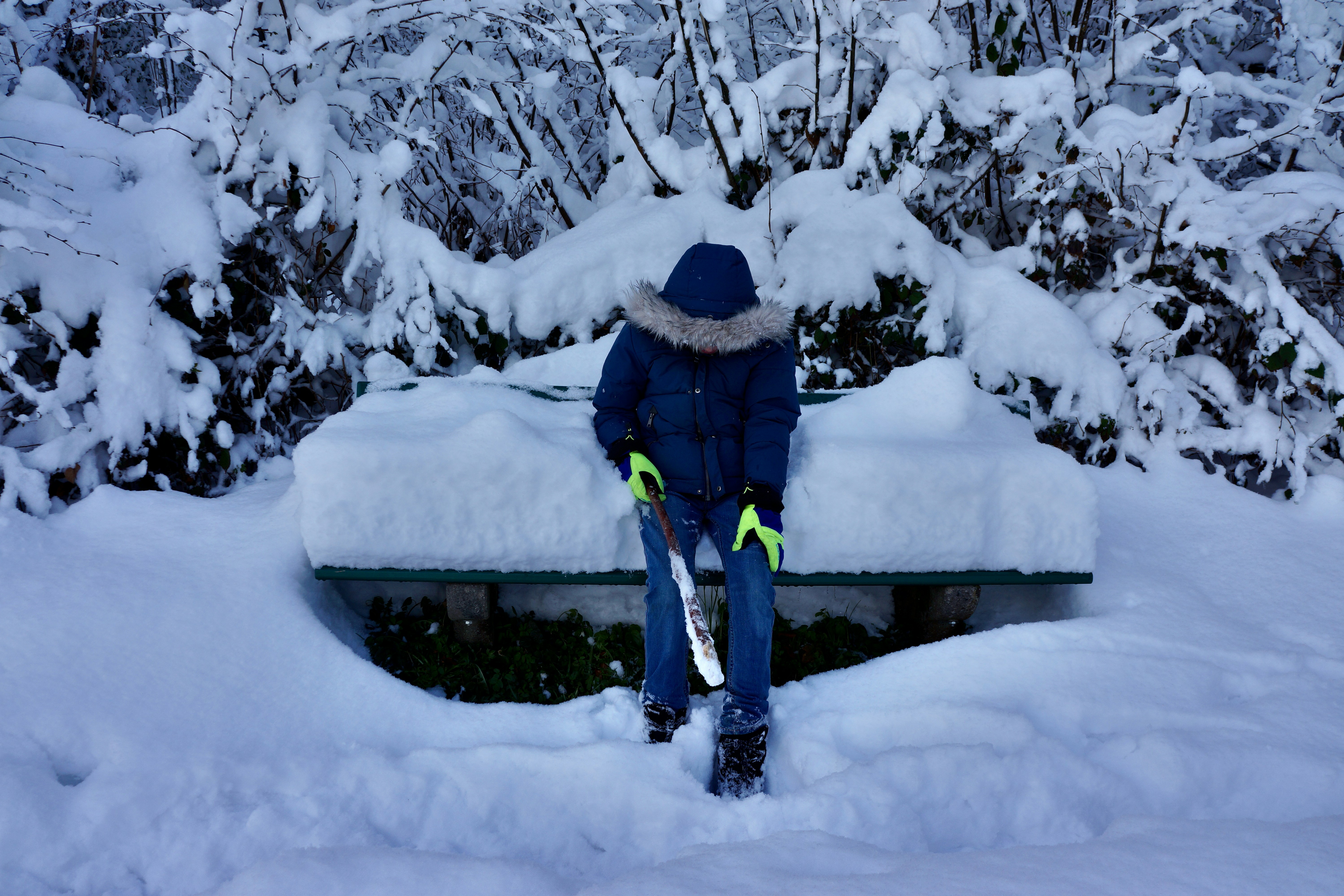 Photo by peterburdon