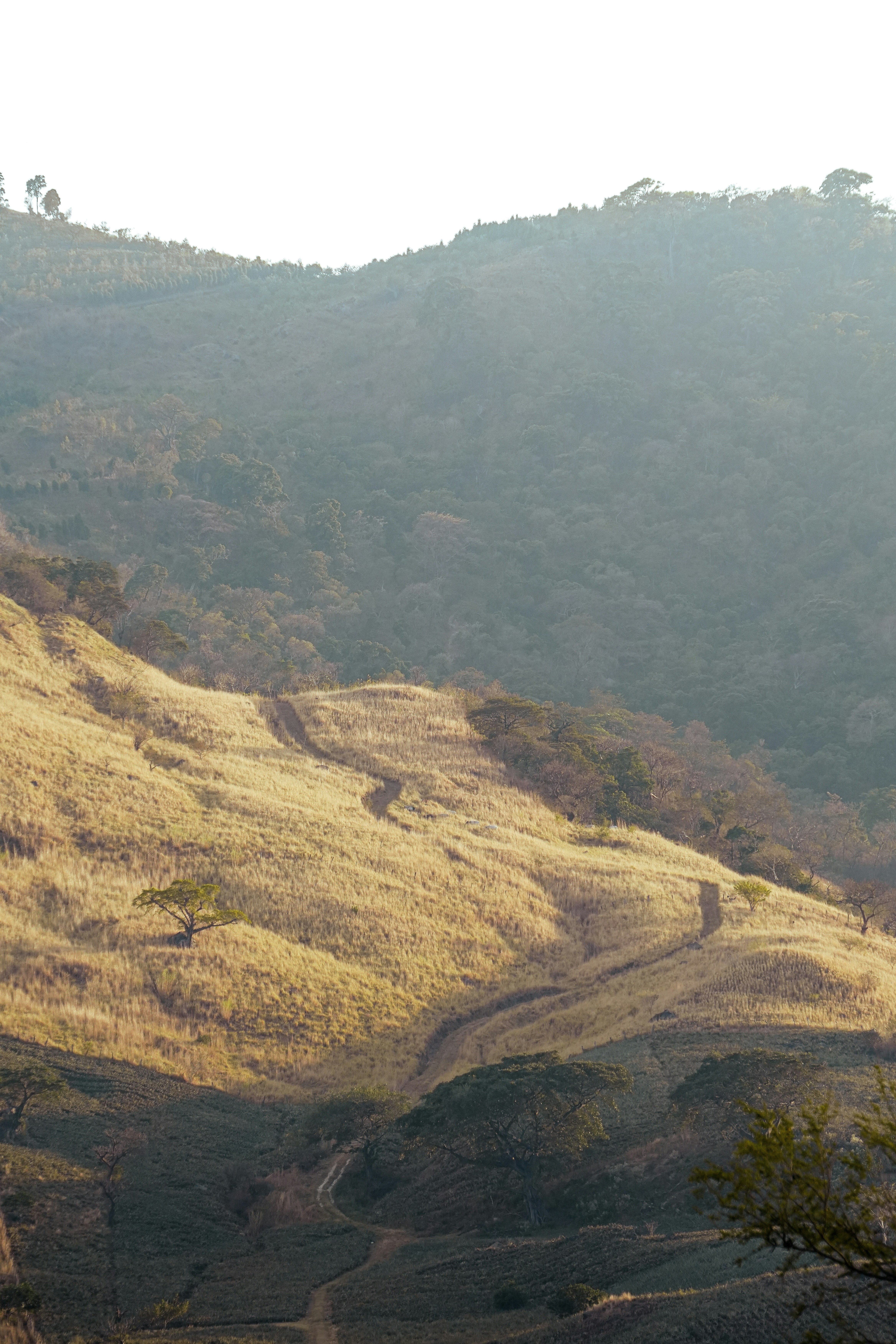 Photo by annastampfli