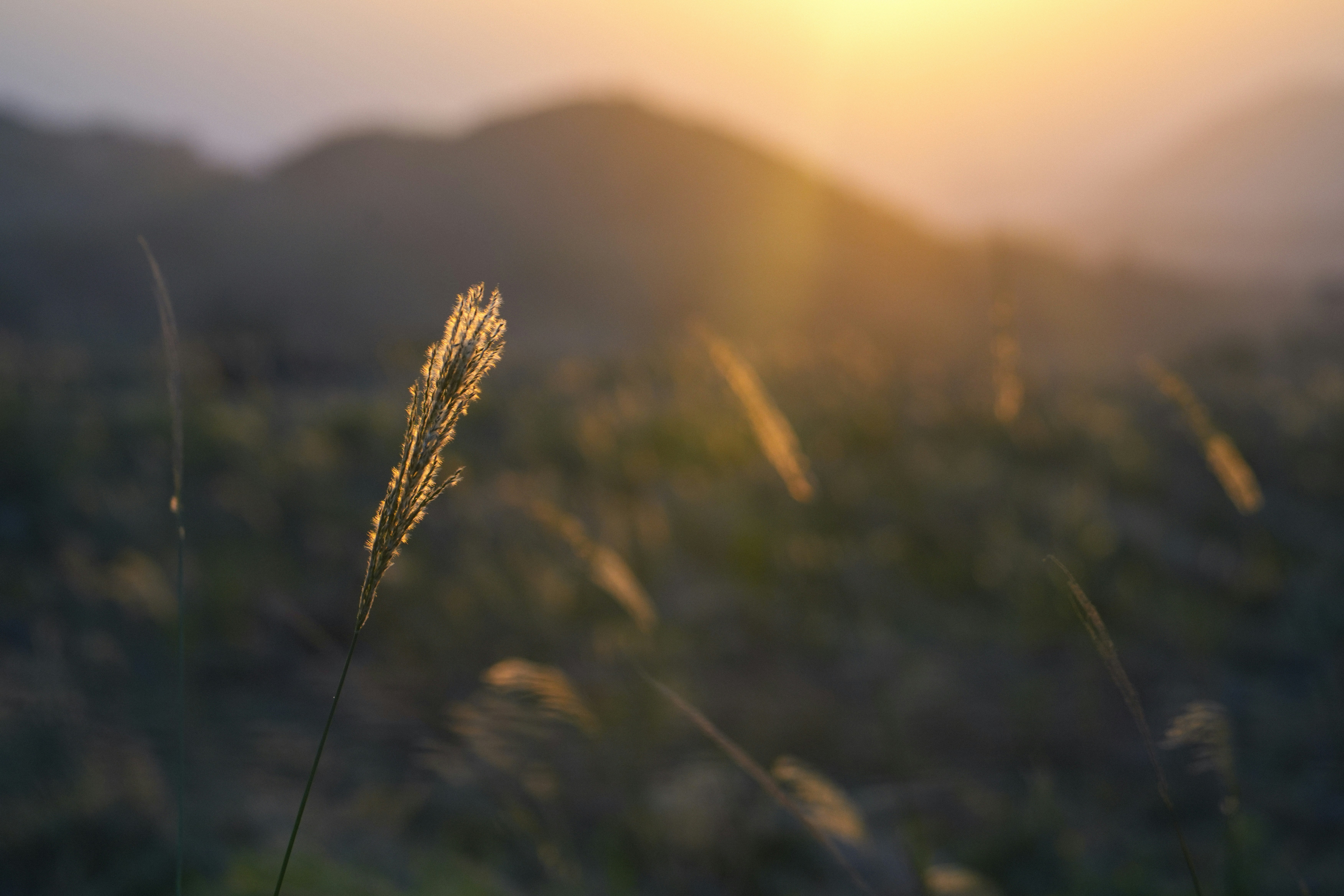 Photo by annastampfli