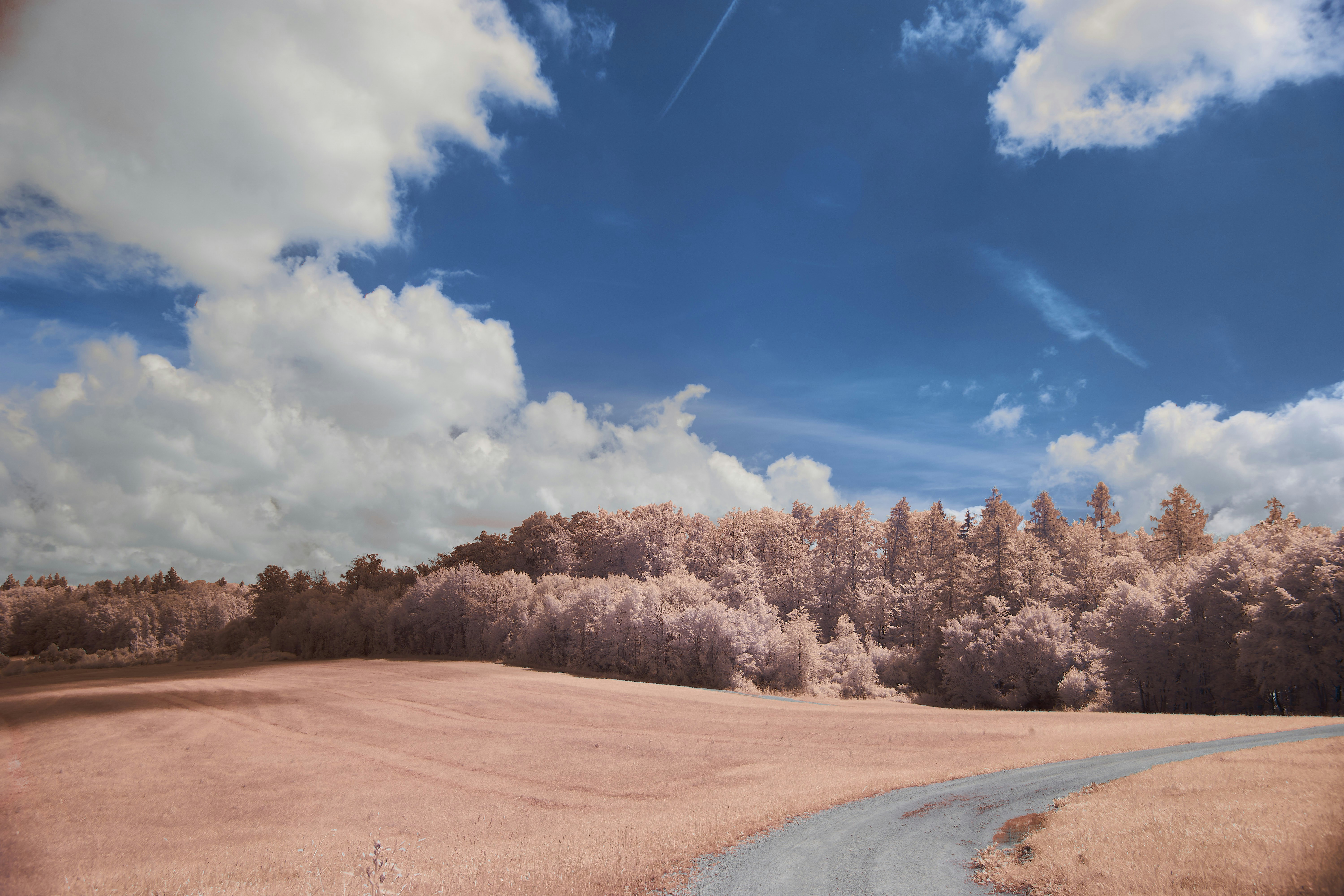 Photo by wolfgang_hasselmann