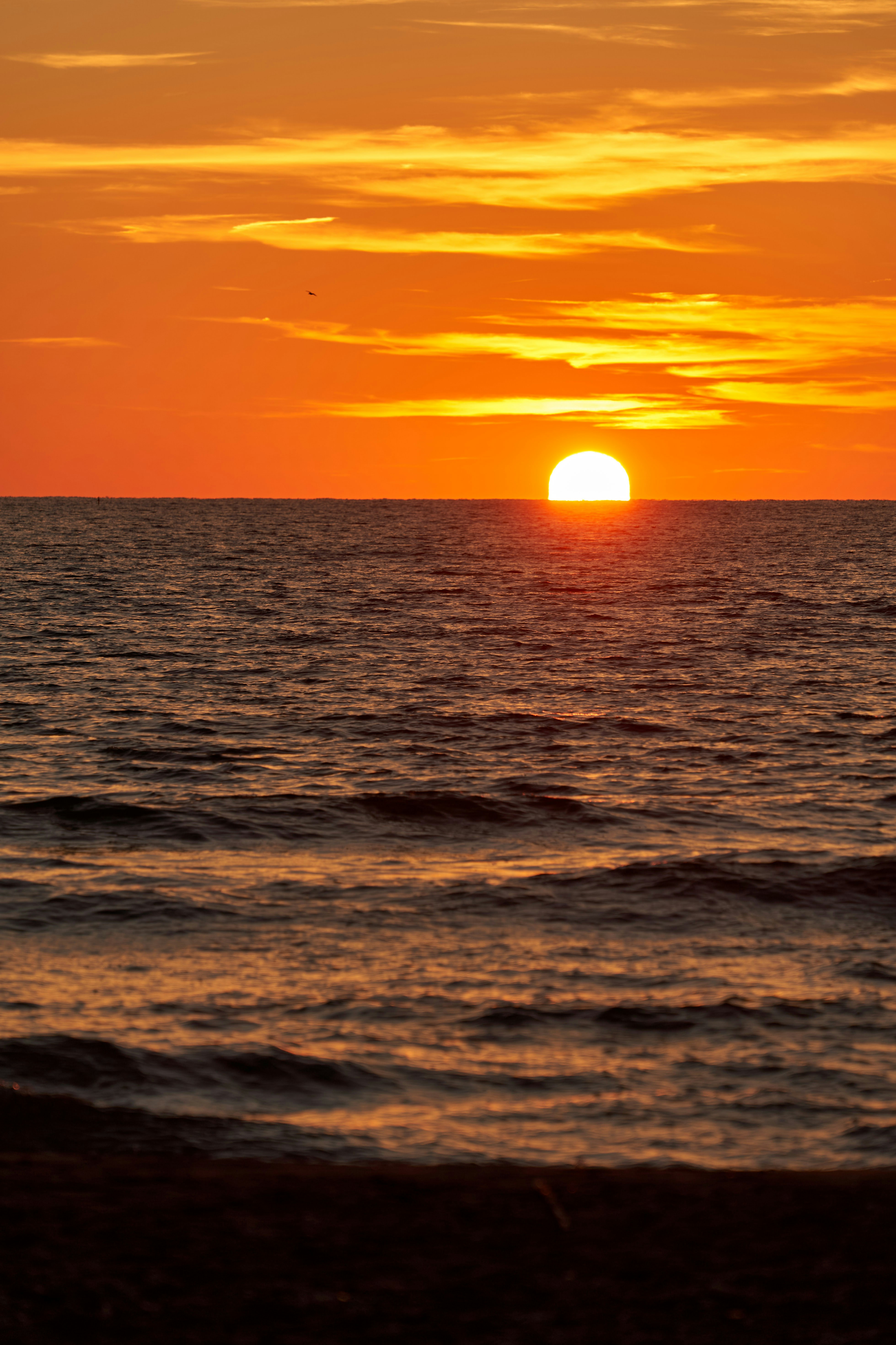 Photo by wolfgang_hasselmann