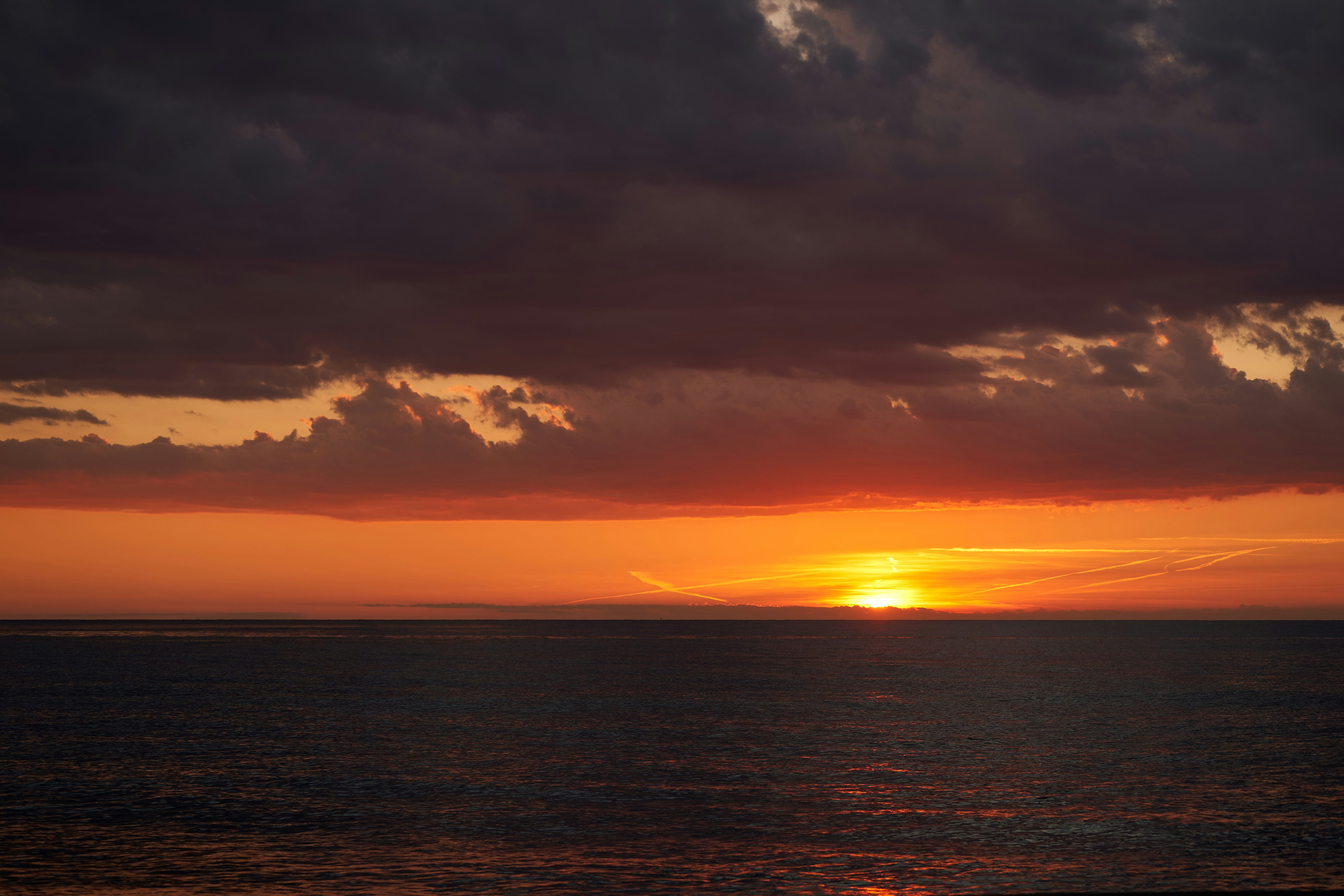 Photo by wolfgang_hasselmann